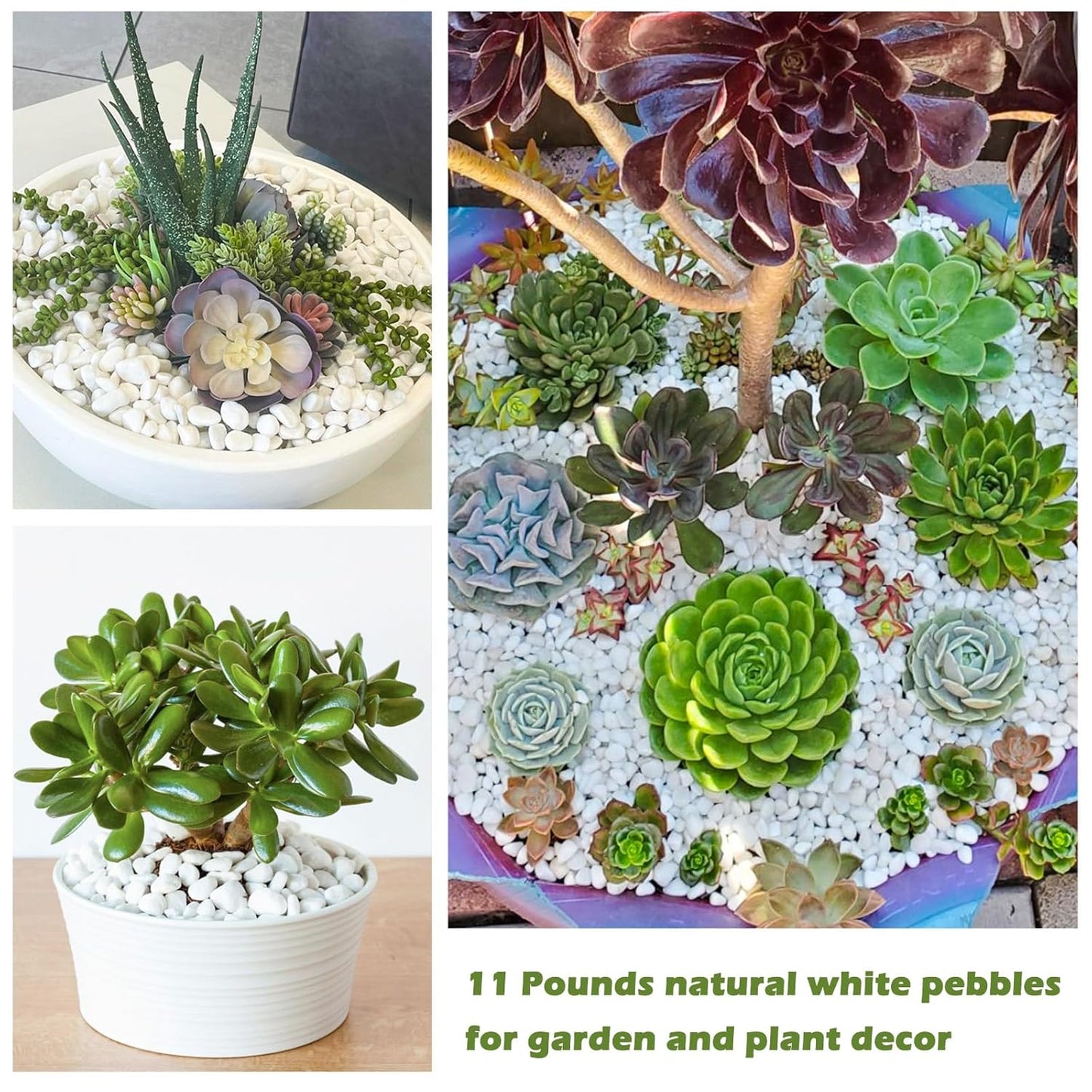 11 Lbs Natural River Rocks for Plants 0.6-0.8 inches Small White Landscaping Garden Stones White Aquarium Gravel Decorative Pebbles for Indoor Outdoor Planters Home Decor