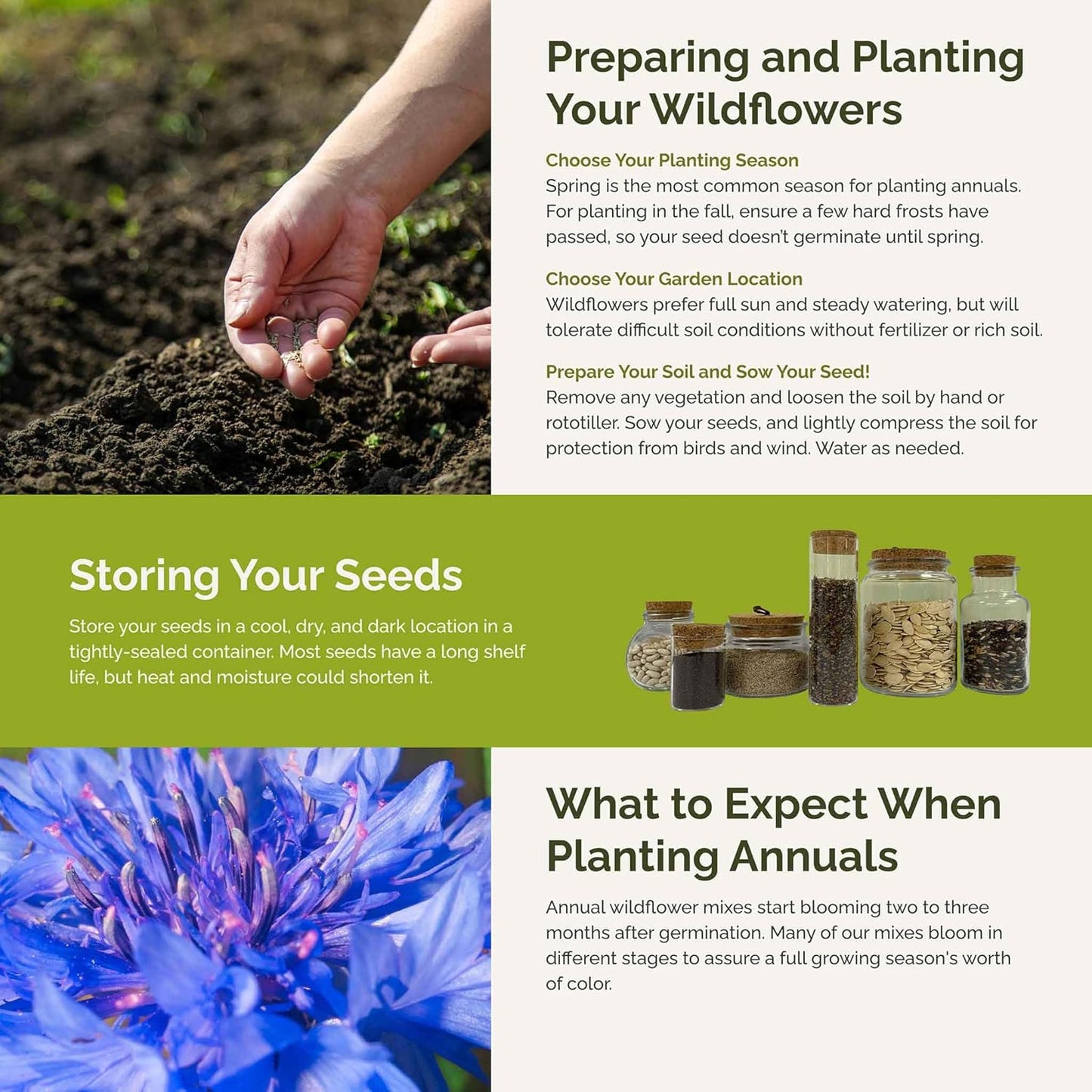 Eden Brothers Field Day Flower Mixed Seeds for Planting, 5 lb, 2,400,000+ Seeds with Zinnia Lilliput, Calendula Mix | Attracts Pollinators, Plant in Spring or Fall, Zones 3, 4, 5, 6, 7, 8, 9, 10