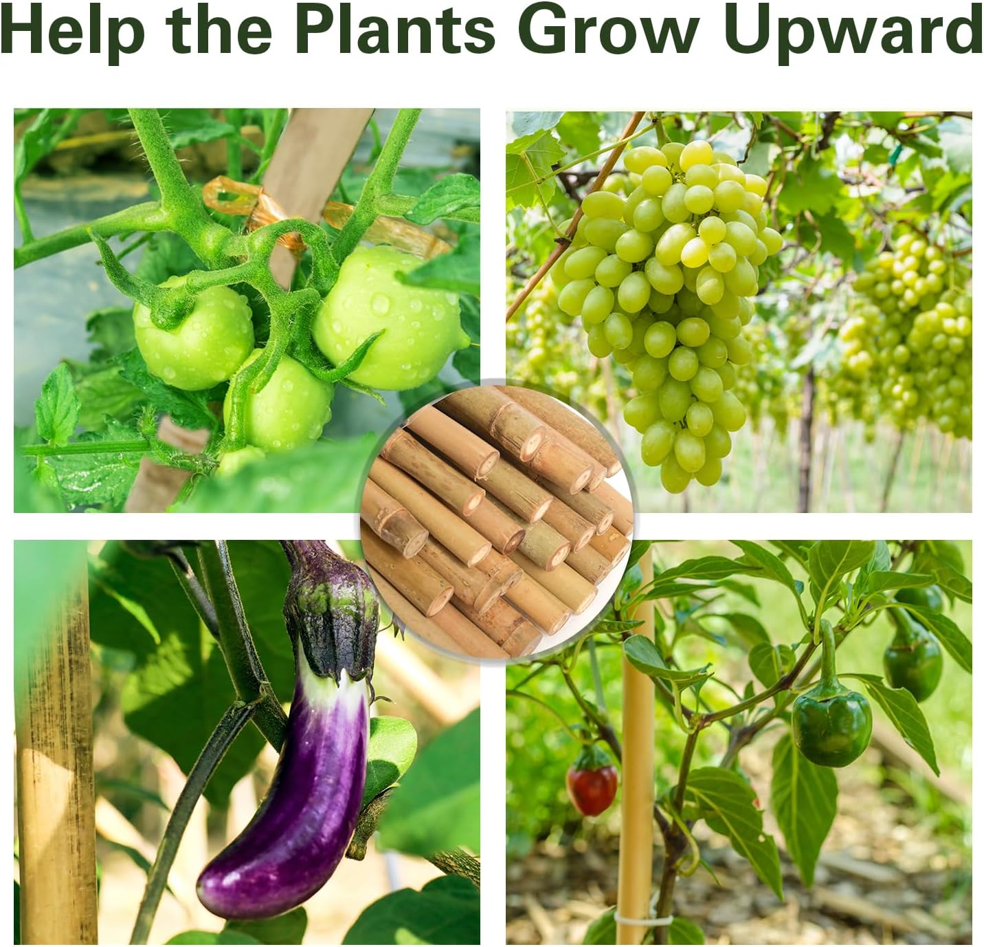 Bamboo Stakes 2FT 35pcs, 24 inch Garden Stakes Multi-Purpose, Bamboo Plant Support Stakes for Beans, Peppers, Flowers, Potted, Maintain The Plant Posture, Strengthen and Stem