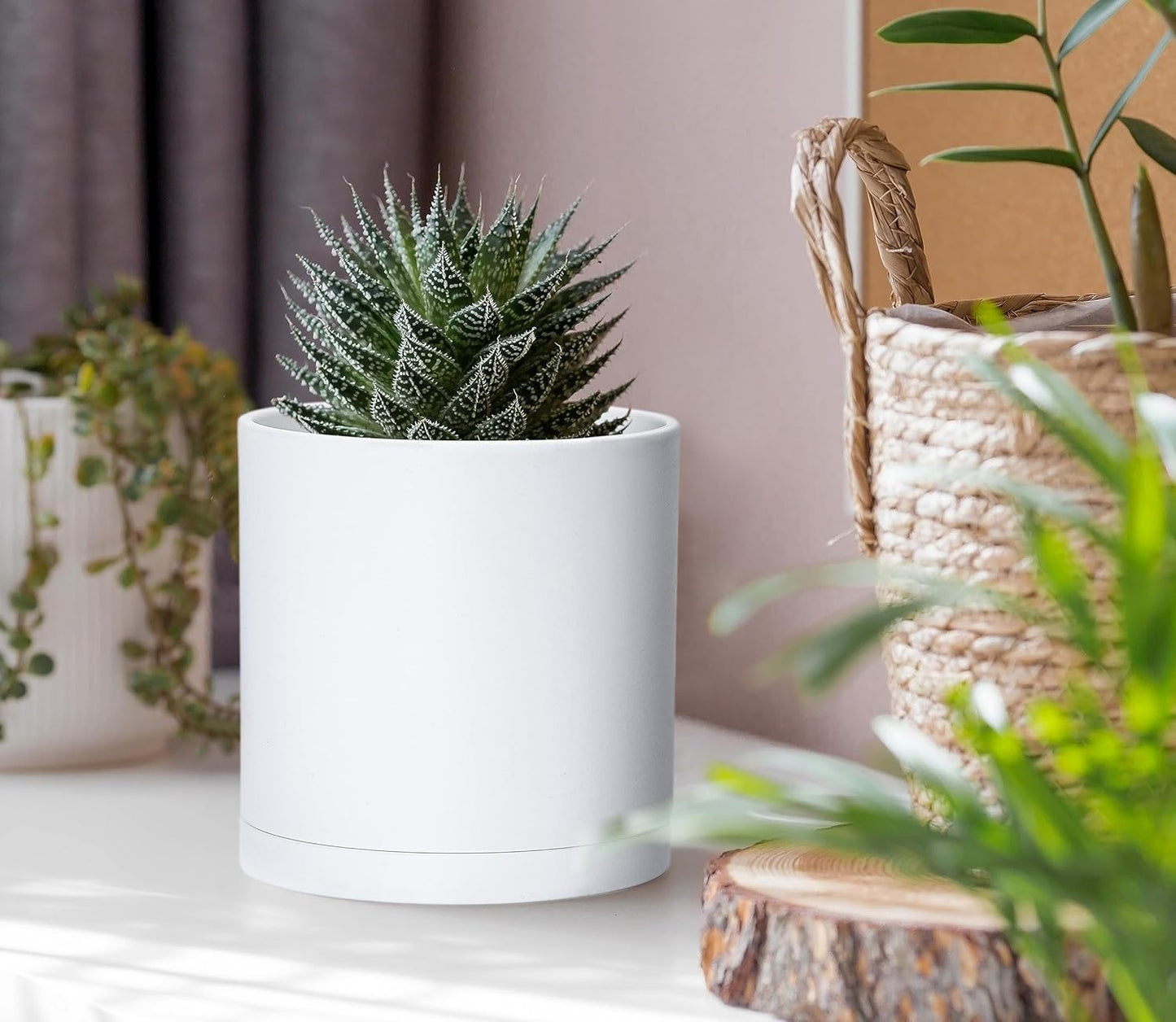 D'vine Dev 6 Pack 4 Inch Modern Plastic Plant Pots, Small Garden Planters for Plant with Drainage Holes and Saucers, White Color, 74-Z-E-3