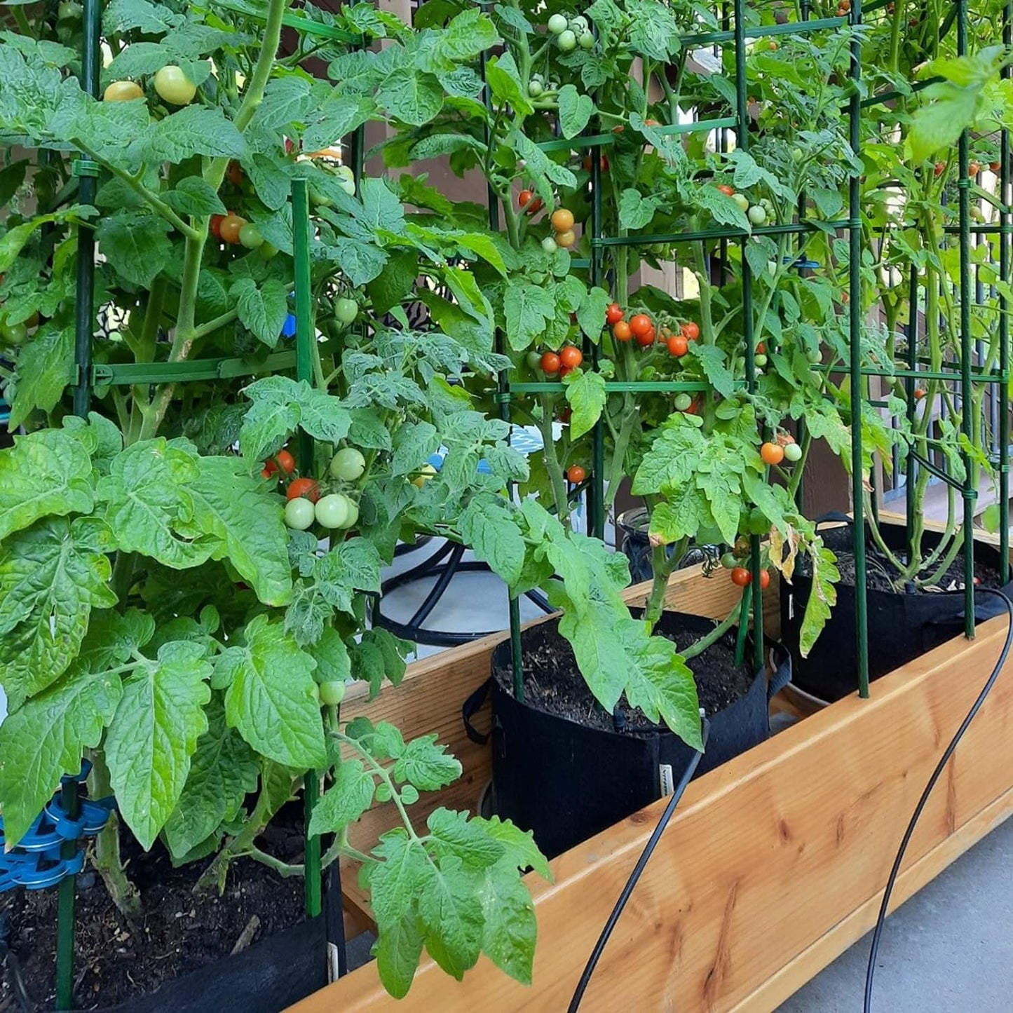 Garden Plant Stakes 48 Inch 4Ft Steel Plant Stick Support, 25 Pack Tomato Stakes for Growing Climbing Plants, Potted Plants, Tomatoes, Trees, Cucumber, Beans, Fences Poles