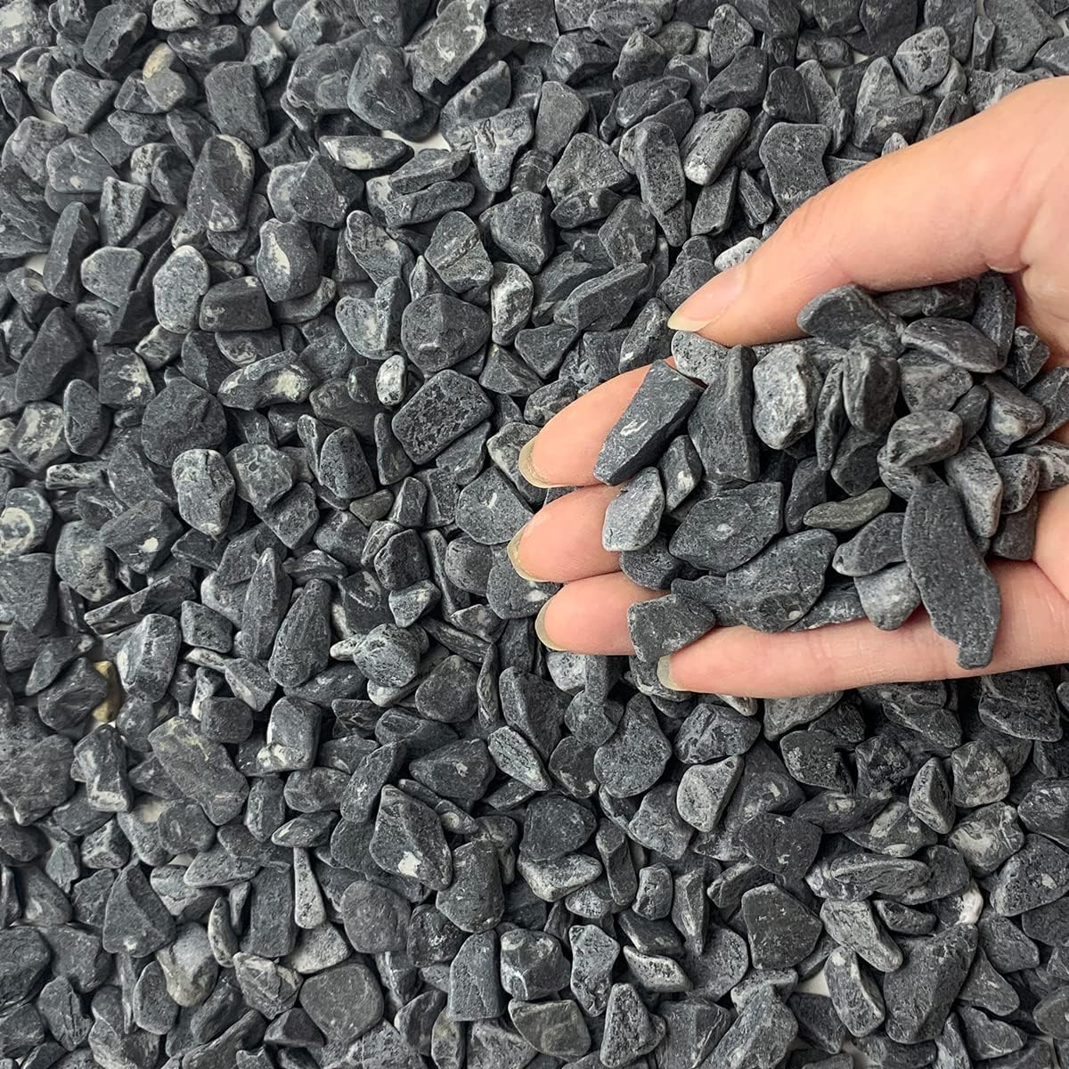 2lbs Black Gravel, 3/8 Inch Black Stones. Decorative Black Rocks for Succulent Plants, Vase, Cactus, Bamboo Plants and Outdoor Garden Landscaping