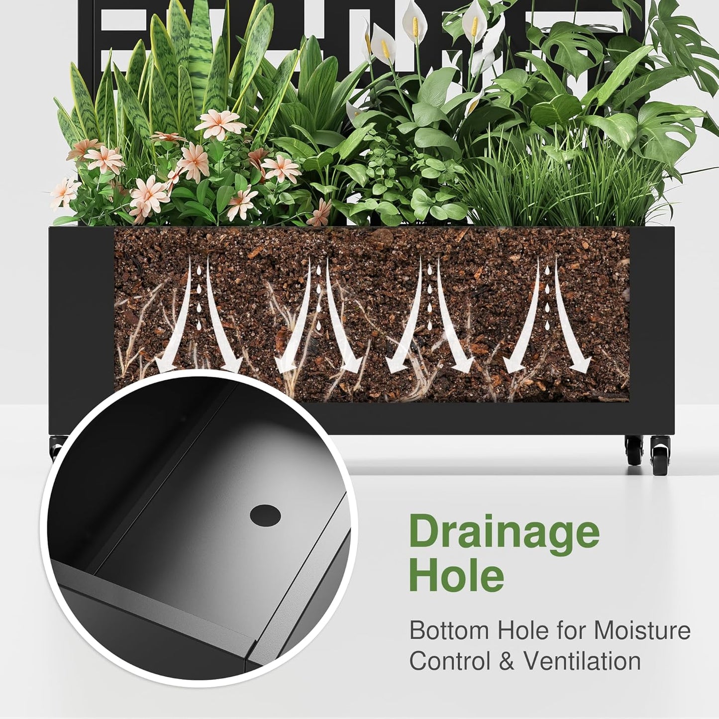 Casaphoria Metal Raised Garden Bed with Trellis and Wheels, 47"x47"x16" Planter Box for Climbing Plants, Vegetables & Vines, Features Drainage Holes and Privacy Screen (White-Louvered)