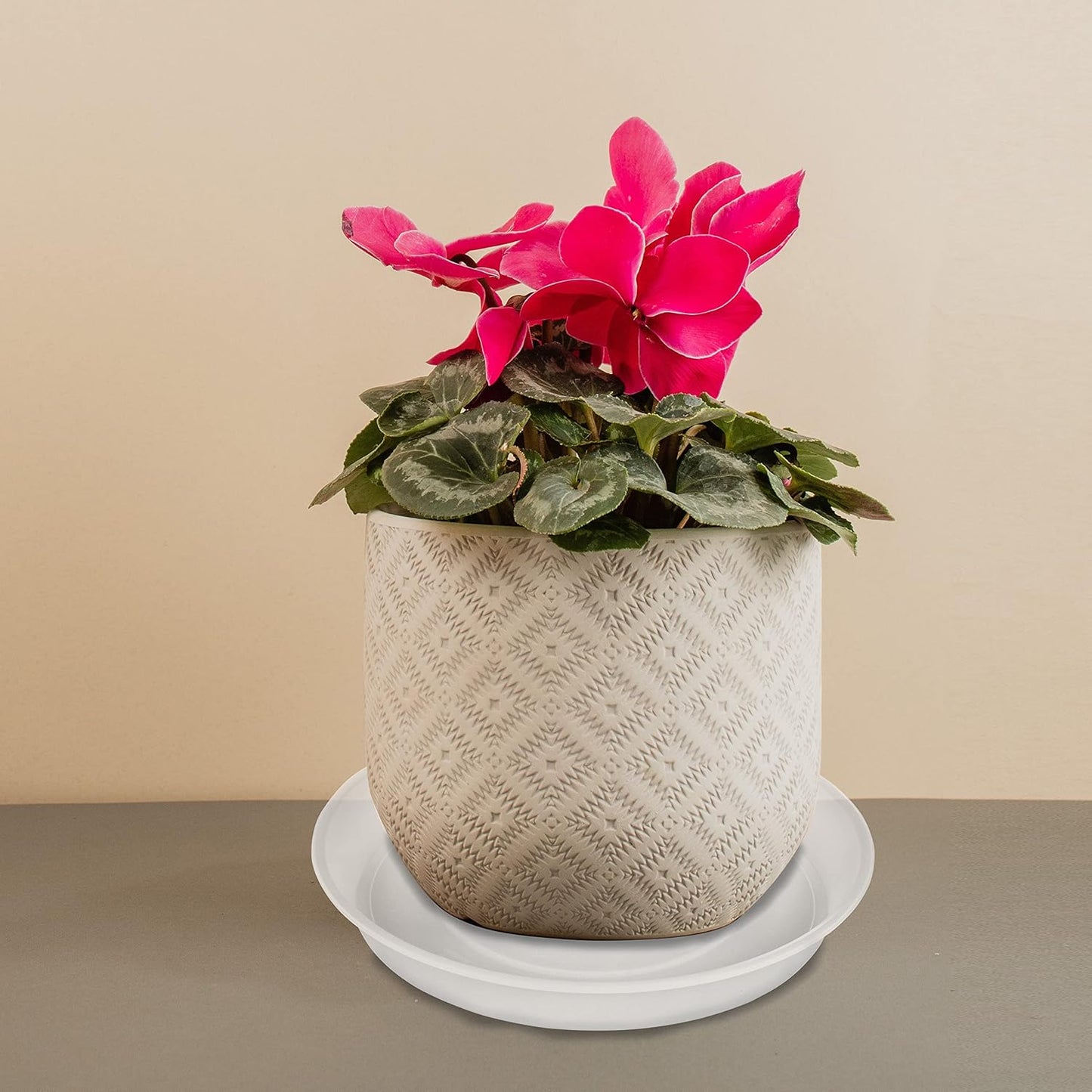 6 Pack of 10 inch Plant Saucer Clear, Heavy Duty Plastic Plant Saucer 10 inch, Durable Plant Tray for Pots, Flower Plant Saucers for Indoors, Plant Trays for Planter 8"/9"/10" (10", Clear)