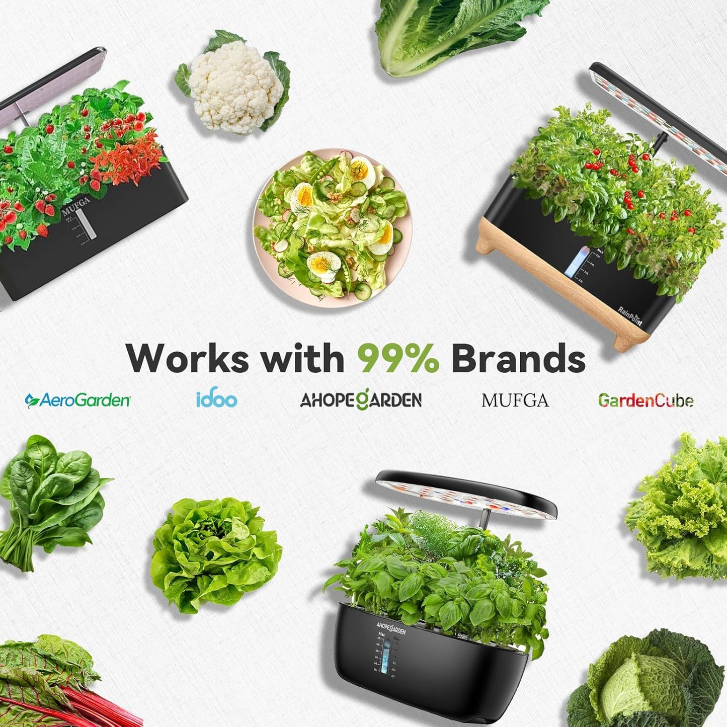 inbloom Salad Green Seed Pod Kit for AeroGarden, Ahopegarden, GARDENCUBE, MUFGA, 50 Pods (350+ Seeds with American Fast/Paris Island/Buttercrunch Lettuce, Swiss Chard, Spinach, Cauliflower, Cabbage)