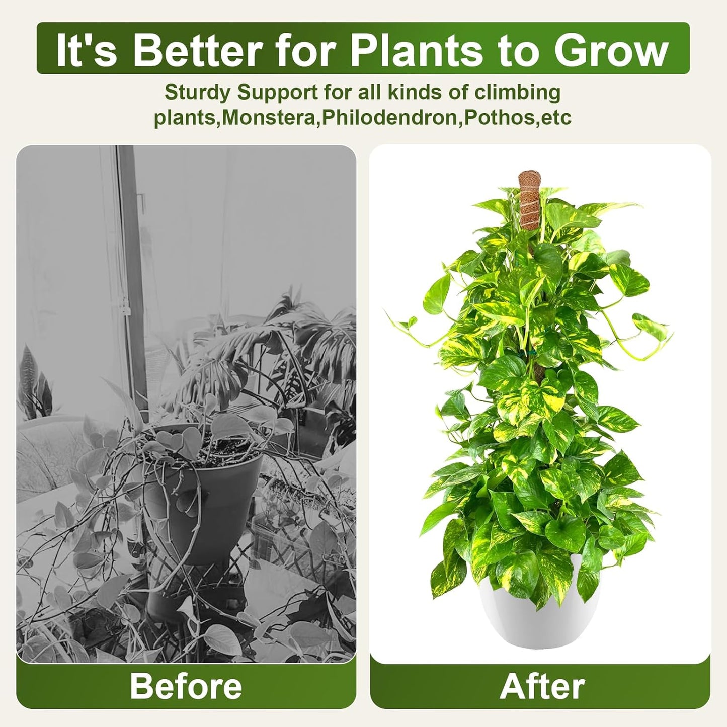 2 Pack 48'' Bendable Moss Pole Monstera Plant Support for Indoor Climbing Plants, Tall Plant Stick Support Stake for Potted Plants, Pothos, Philodendron