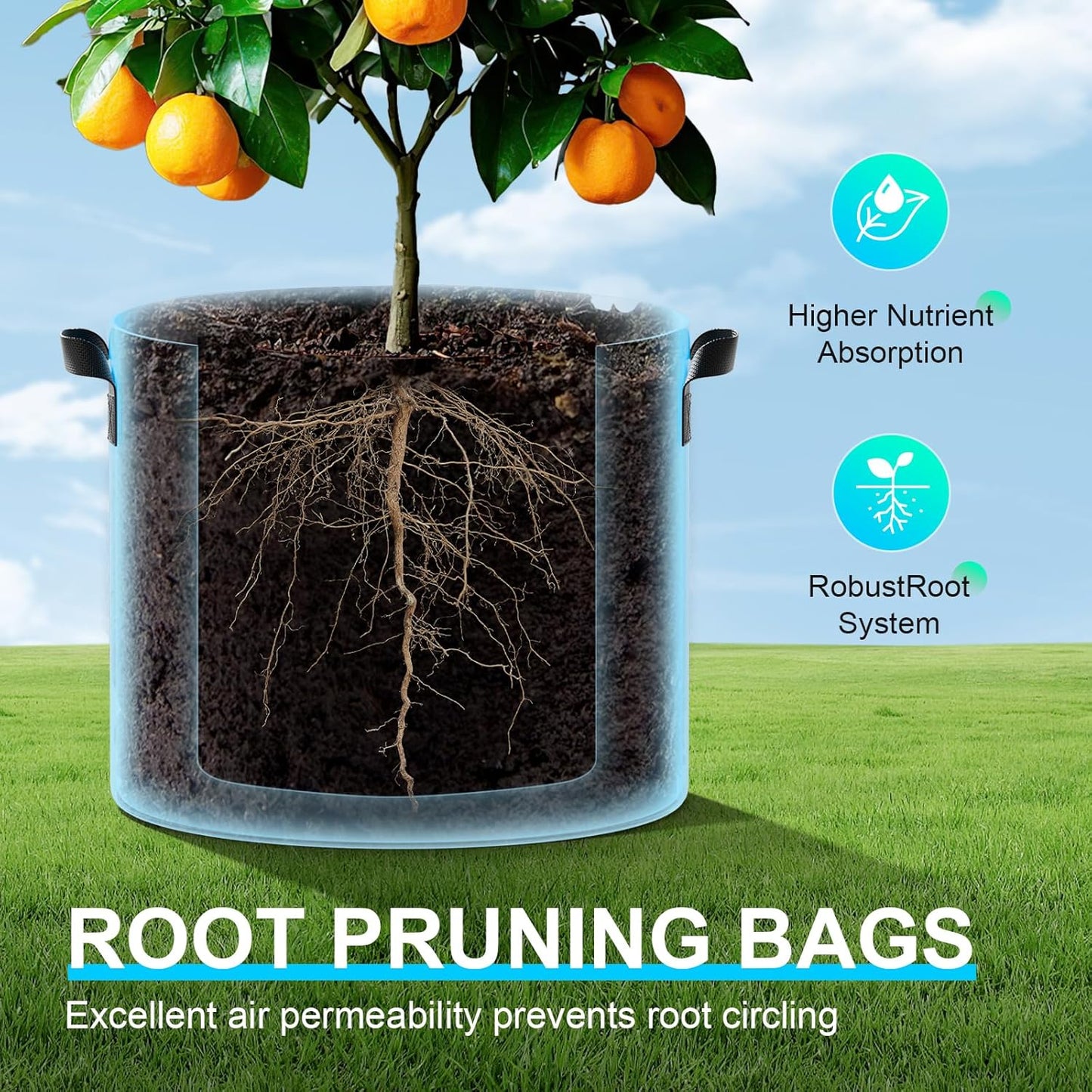 Land Guard 4-Pack Fabric Grow Bags 30 Gallon, Thickened Nonwoven Garden Pots, Growing Bags with Handles, Black