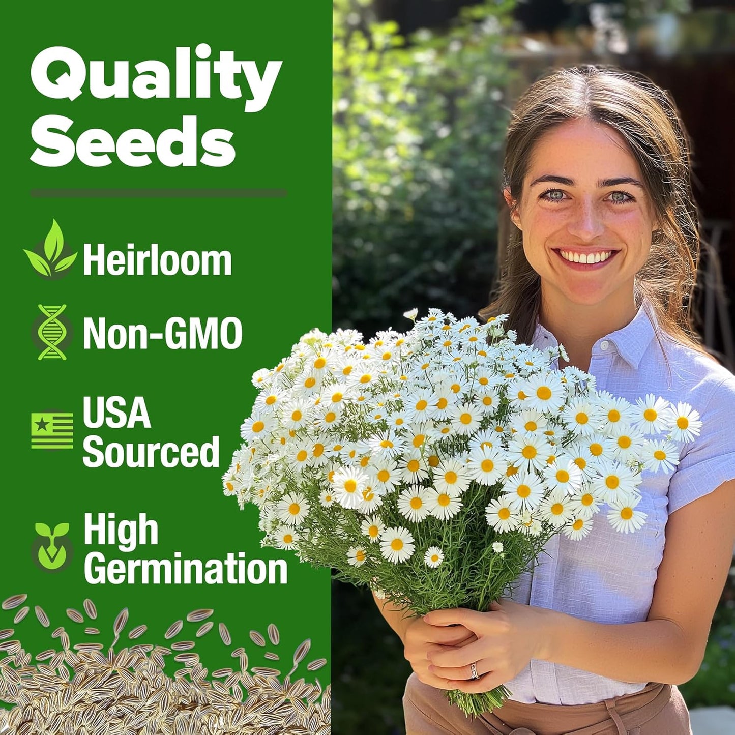 HOME GROWN 𝗨𝗦𝗔 𝗣𝗥𝗘𝗠𝗜𝗨𝗠 German Chamomile Seed Pack – 2,280 𝗡𝗢𝗡-𝗚𝗠𝗢 Heirloom Seeds for Planting for Sustainable Gardens and Soothing Medicinal Herbal Teas (Matricaria chamomilla)