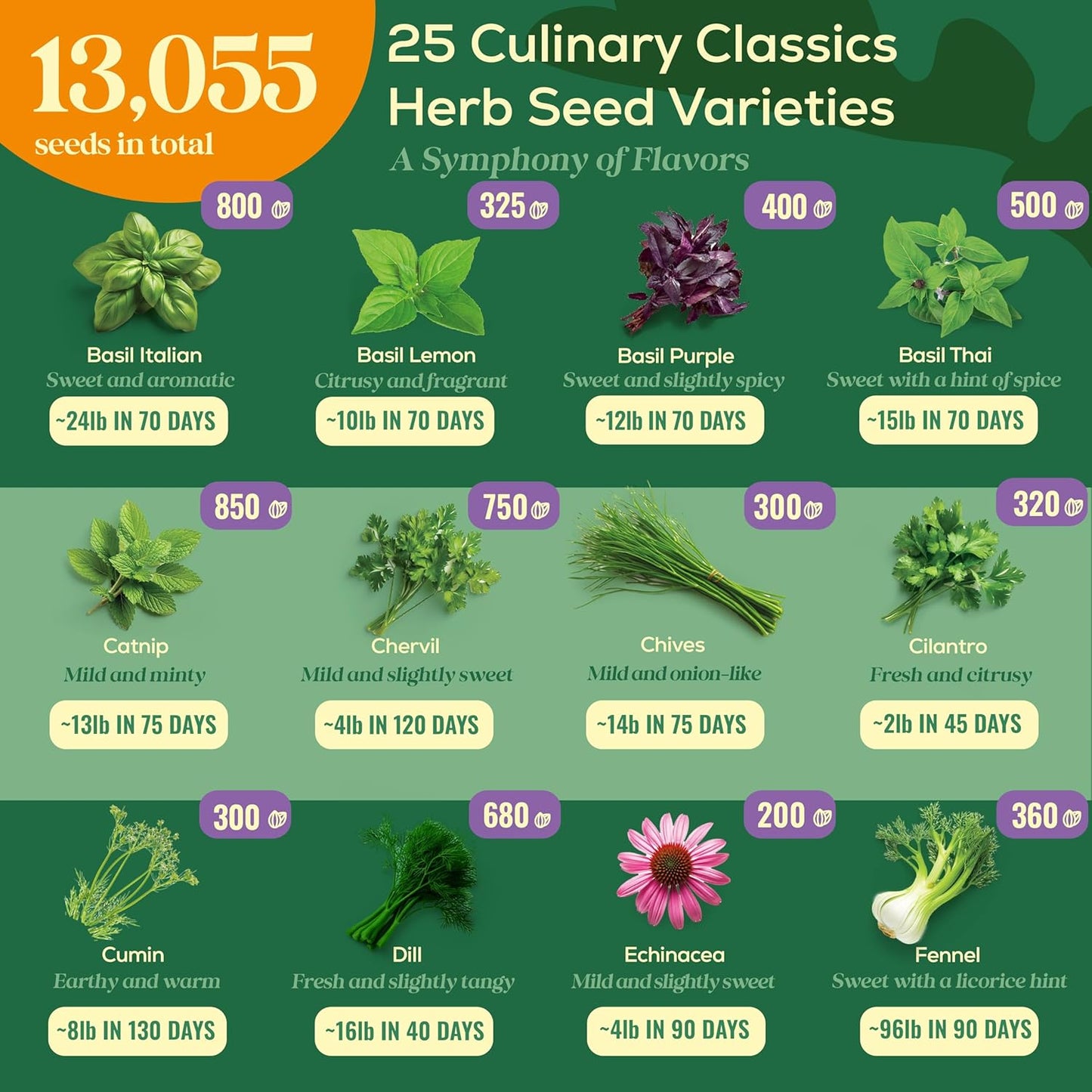 25 Culinary Herb Seeds Variety Pack - 13,055+ Non-GMO Heirloom Herbs Seeds for Planting Indoor & Outdoor: Rosemary, Basil, Catnip, Cilantro, Dill, Parsley, Oregano, Thyme, Mint, Tarragon, Lavender