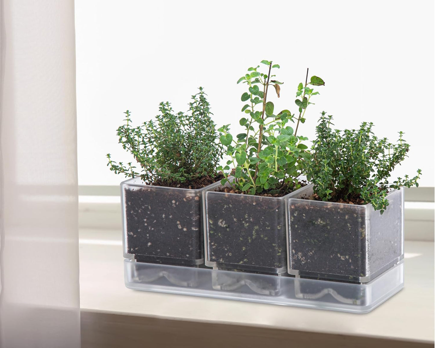 D'vine Dev Herb Garden Planter Set, Plastic Plant Pots with Drainage and Saucer, Indoor Succulent Cactus Vegetable Pot for Windowsill, Garden Balcony, Clear, Set of 2, 76-V-D-2