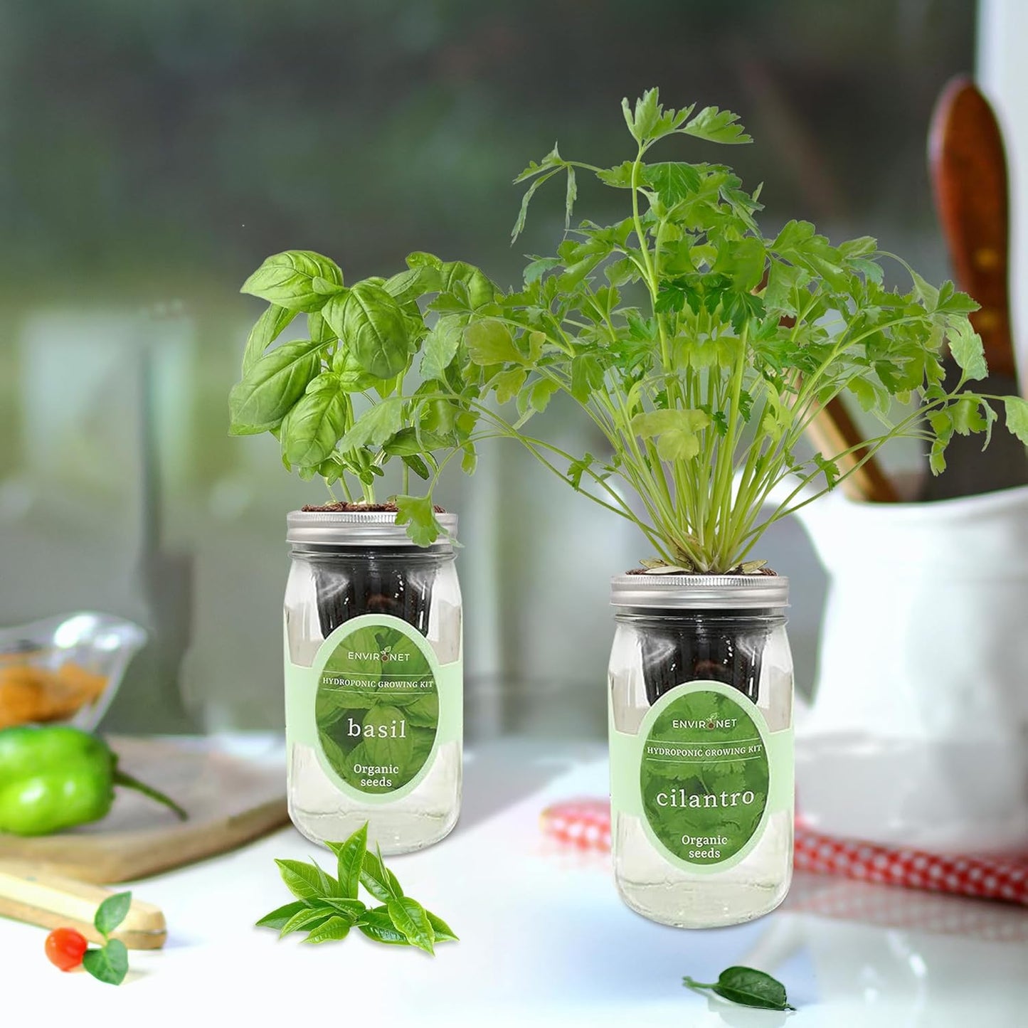 2-Pack Hydroponic Mason Jar Herb Garden Kit, Indoor Herb Garden Self-Watering Starter Kit (Basil,Cilantro)