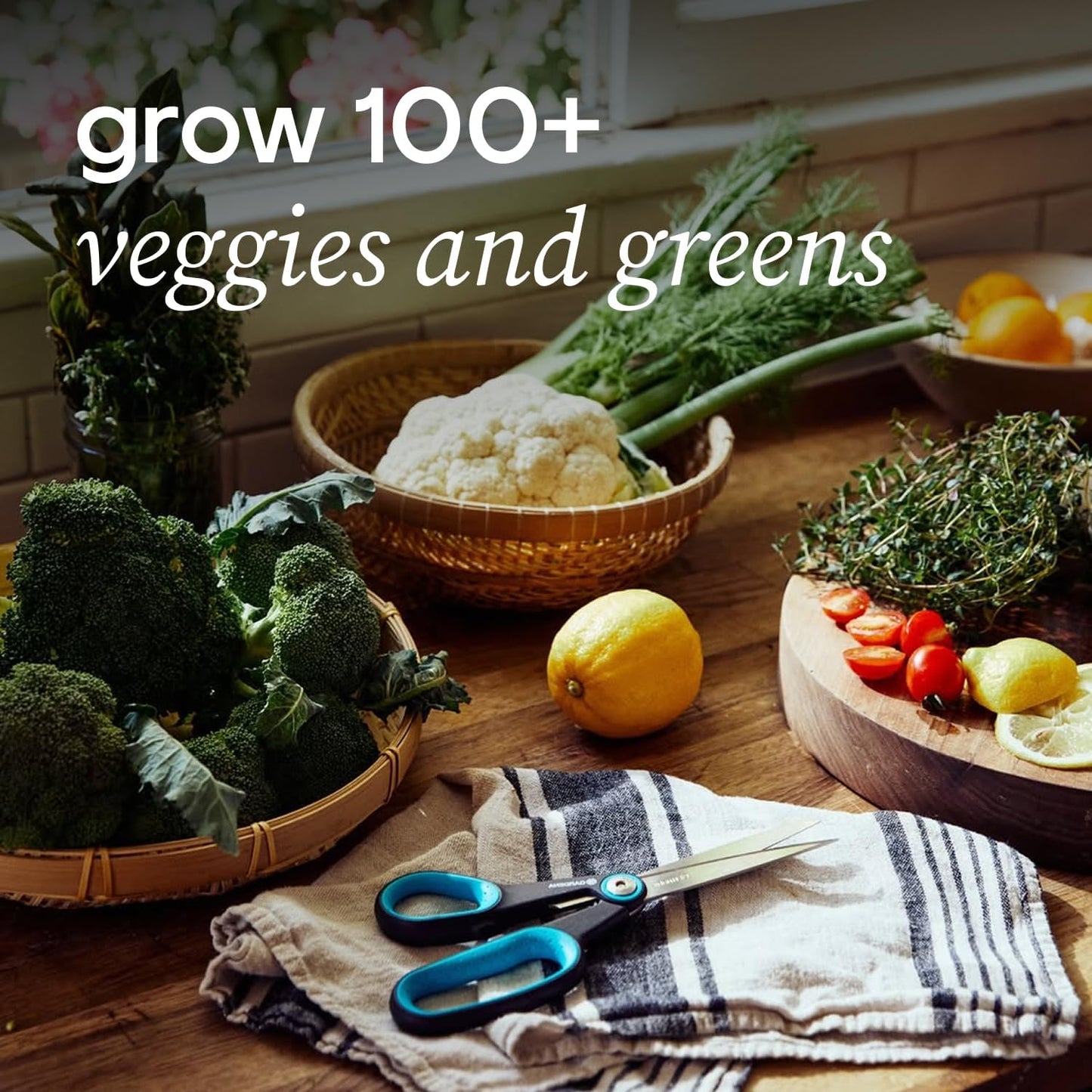 Farmstand Starter Kit + 30 Seedling Credits | Family Hydroponic Growing System Kit | Self-Watering Outdoor Vertical Garden Planter Tower | 5ft 5in | Made in USA