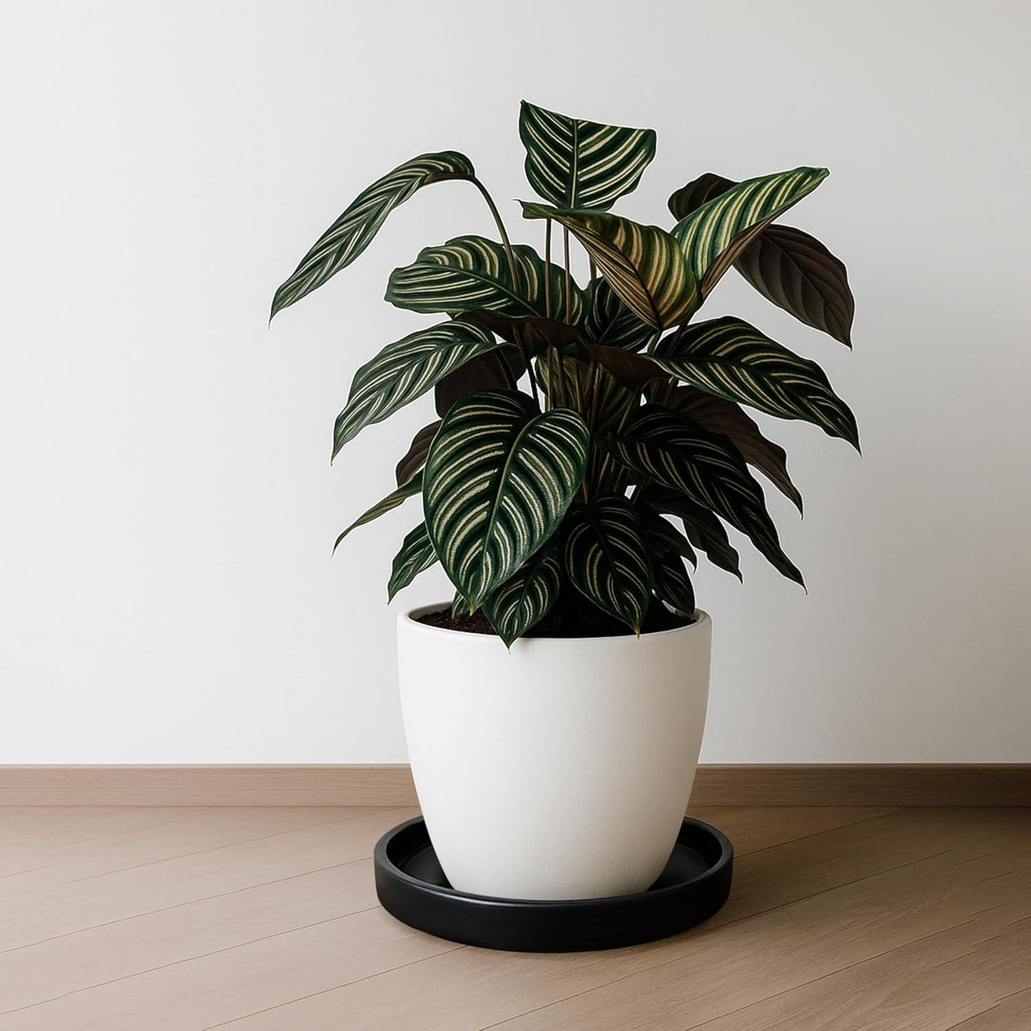 D'vine Dev Modern Round 7.1 Inch Ceramic Plant Pot Saucer, Planter Pot Drainage Tray for Indoor Plants, Matte Black, 97-T-B-3