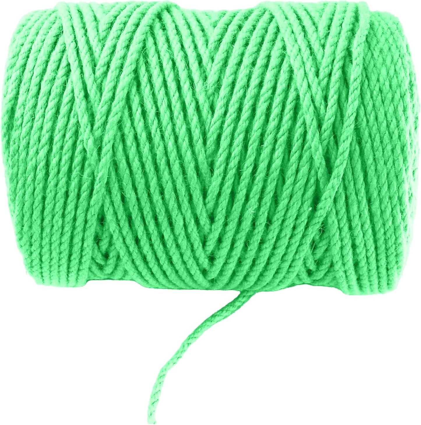 4mm x 500 Feet Light Green Jute Rope, Twine for Gardening Tomato Climbing Plant Tie Floristry Crafts Gift Wrapping Packing Decor