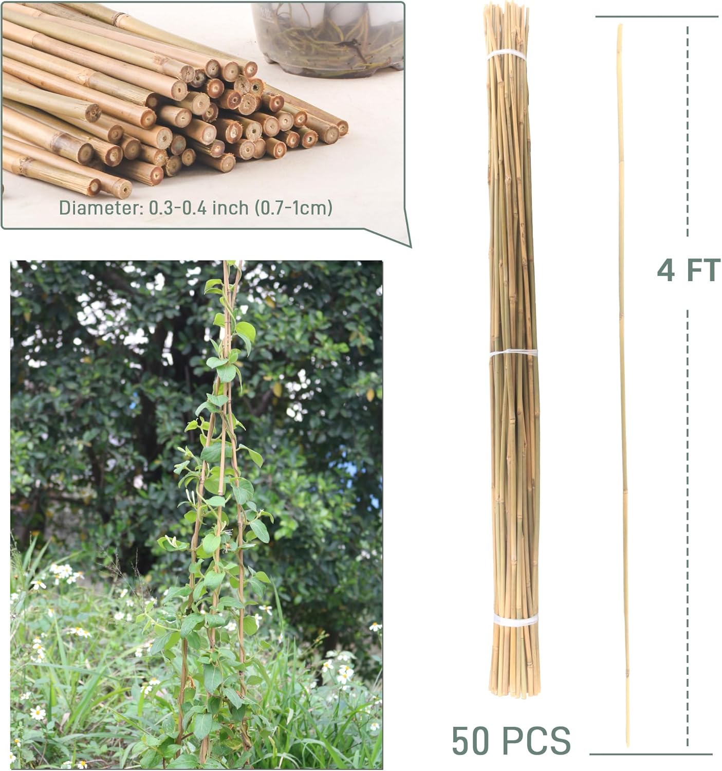 50Pcs / 4ft Bamboo Plant Stakes for Indoor Outdoor Plants, Garden Plant Support Sticks, Poles for Tomato Vegetables Beans Trees Potted Climbing Plants(0.32''-0.4'')