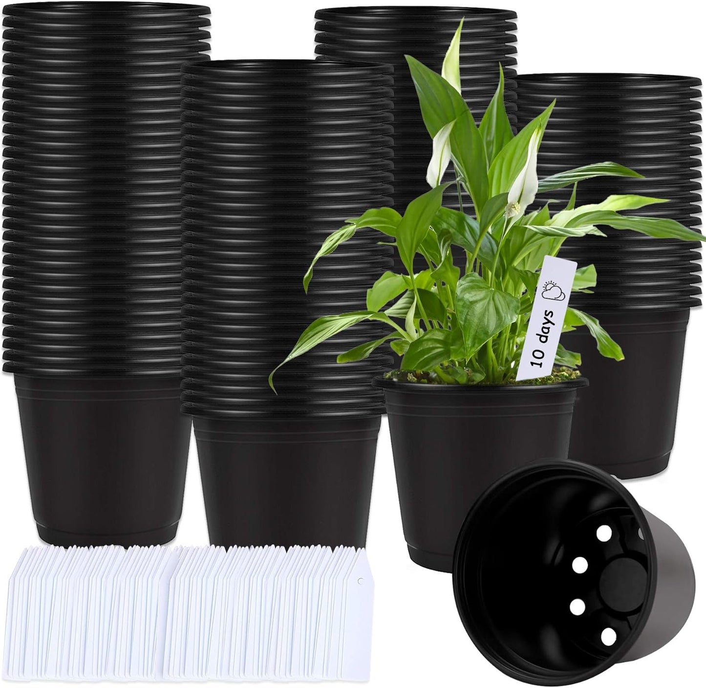 Augshy 110 Pcs 0.5 Gallon Black Plastic Plant Nursery Pots 6 Inches Seed Starting Pots Containers with 110 Labels