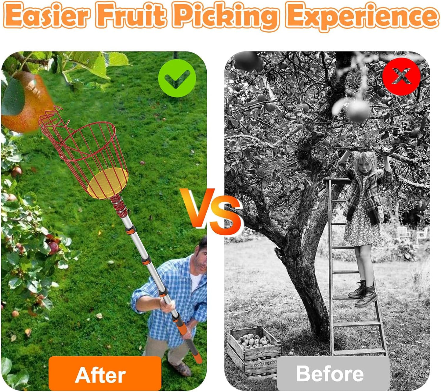 SISIUPASSIE 20FT Reach Fruit Picker, Apple Picker Pole with Basket Telescoping Tool for Apple Lemon Orange Mango Avocado Fruit Tree Picking