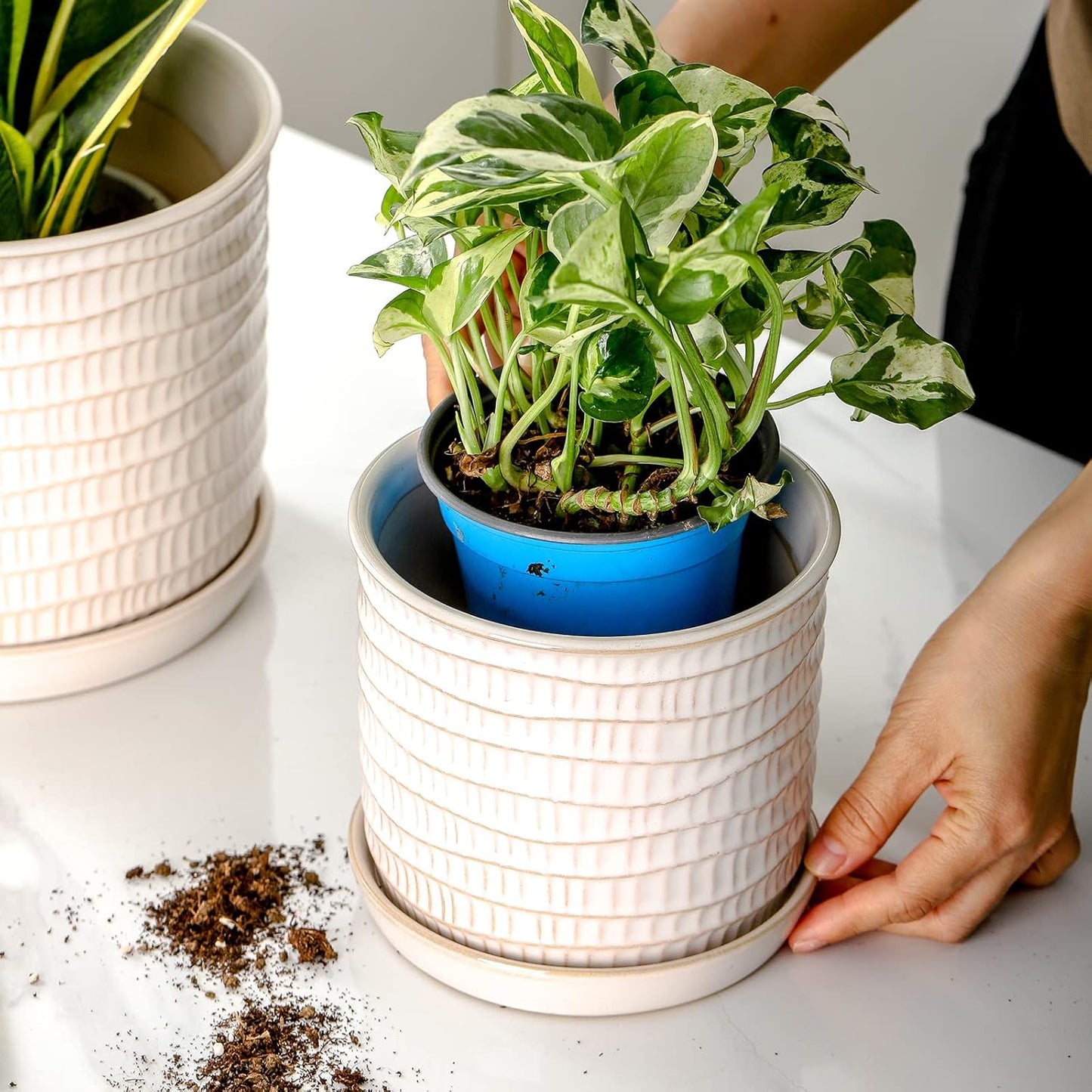 5.8 Inch Plant Pot: Ceramic Planter with Drainage Hole & Saucer for Indoor Outdoor Plants - Flowerpot with Bonded Tray for Home Office - Wave Embossed