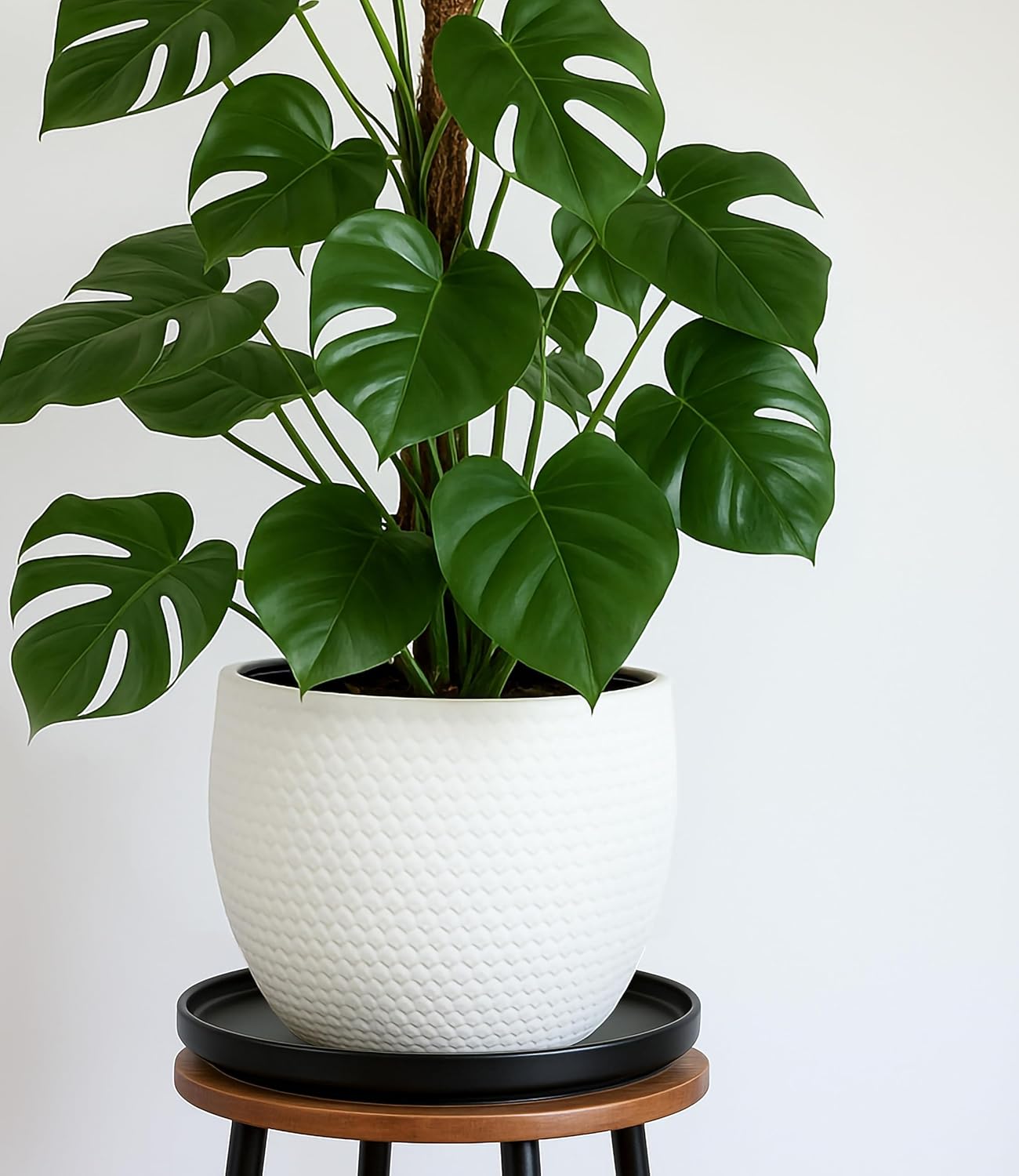 D'vine Dev Modern Round 10.4 Inch Ceramic Plant Pot Saucer, Planter Pot Drainage Tray for Indoor Plants, Matte Black, 97-T-B-5