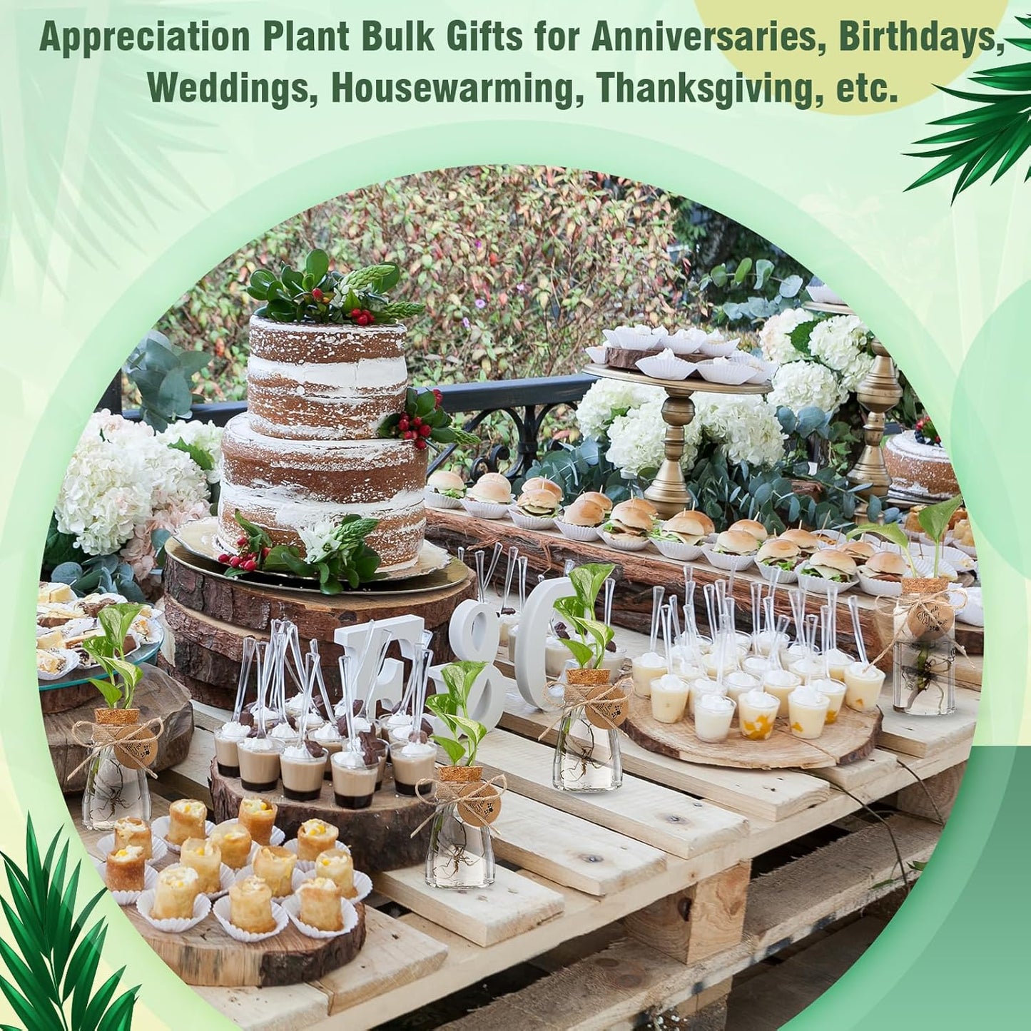 Baderke 24 Pack 3.35'' Plastic Plant Propagation Stations with Hole Lid Planter Vase Clear Propagation Jars with Thank You Tags for Plant Lover Gifts for Women Office Home Garden (Cute)