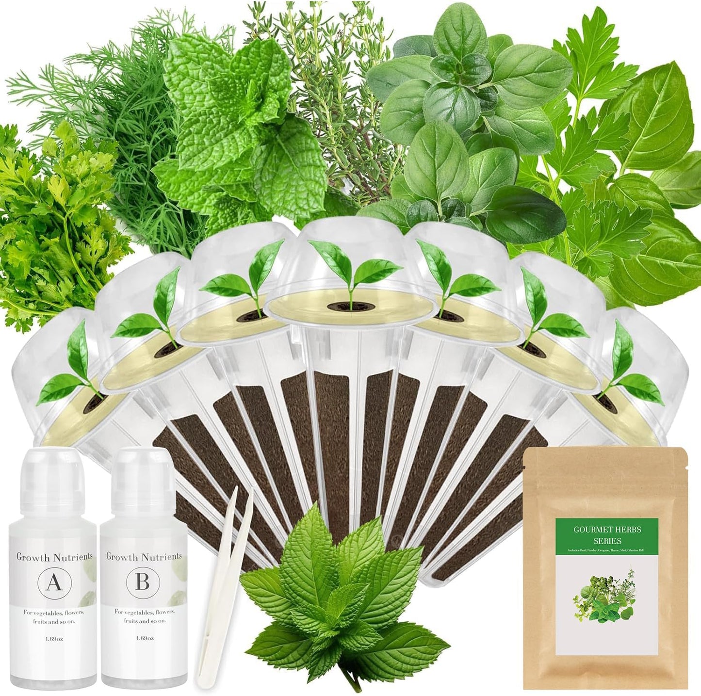 Gourmet Herb Seed Pod Kit for AeroGarden, idoo, Ahopegarden, MUFGA with Basil, Parsley, Thyme, Mint, Cilantro, Dill, Oregano - Compatible with All Hydroponics (7-Pod)