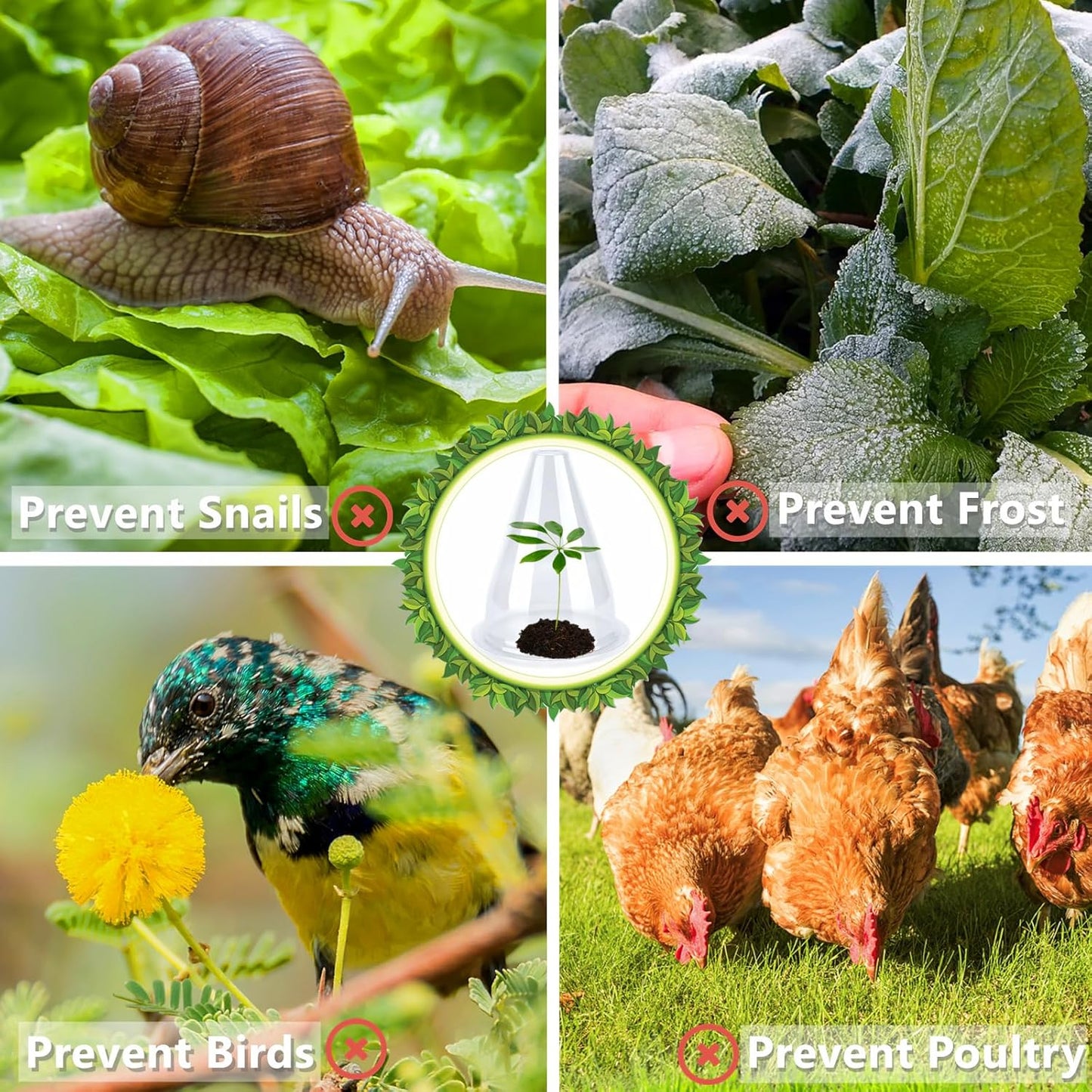 【24 Pieces】 Garden Cloches for Plants, Plant Cover Plant Protectors Transparent Bell Jar Cloches Protection Plants from Birds, Slugs, Frost, Freeze Weather, 7.8" D x 9.4" H, Transparent