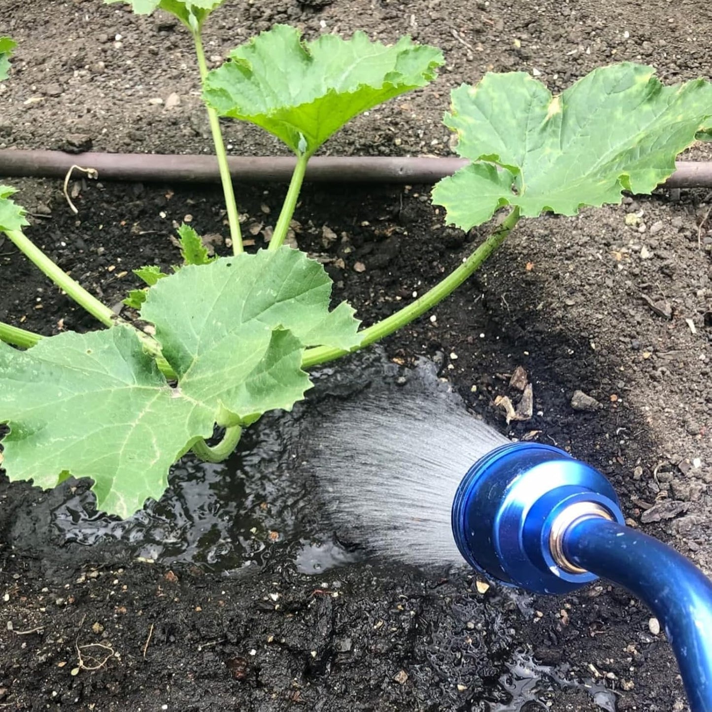 GREEN MOUNT Watering Wand, 24 Inches Sprayer Wand with Superior Stainless Head, Perfect for Hanging Baskets, Plants, Flowers, Shrubs, Garden and Lawn, Blue