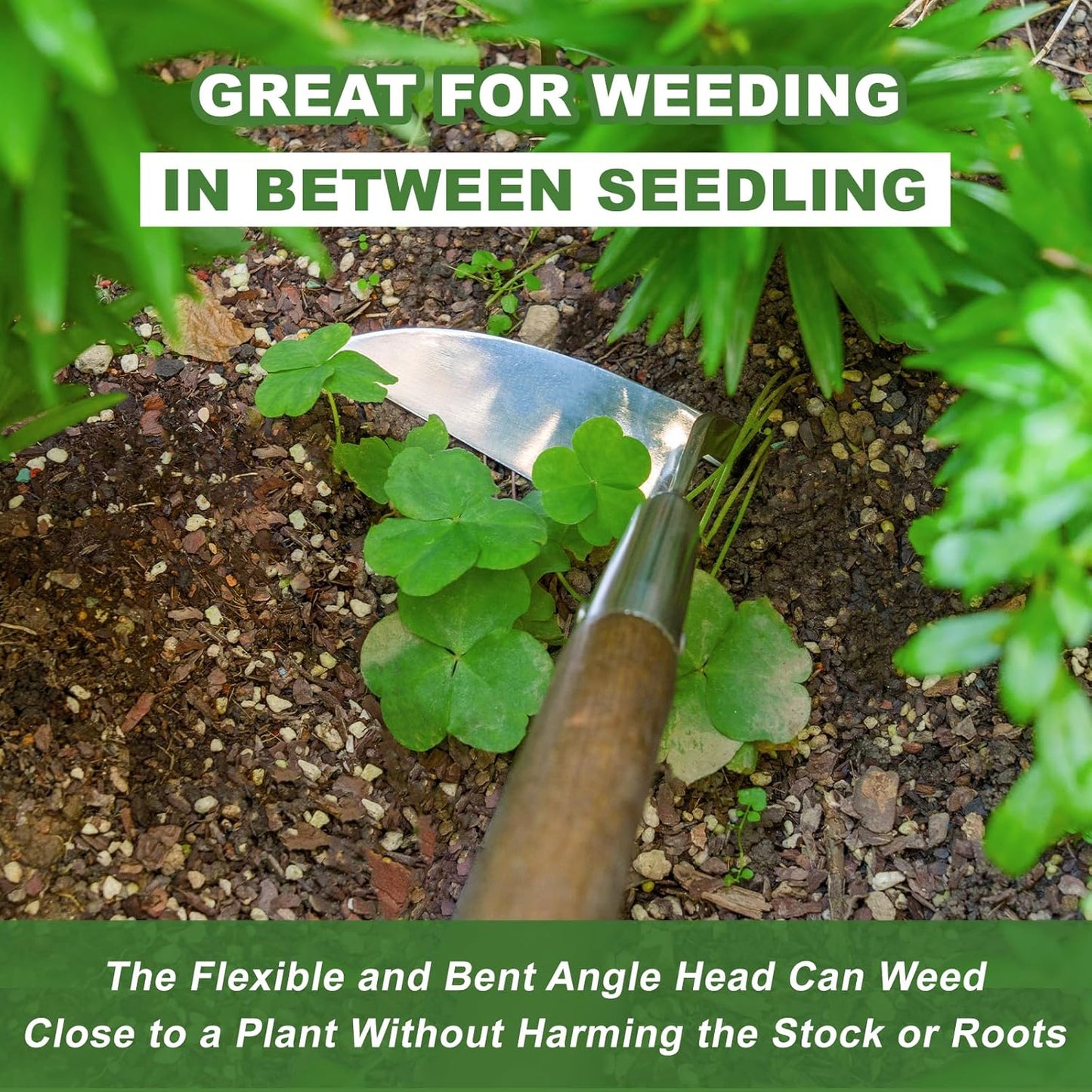 Haliaeetus Sickle Hoe, 58'' Long Handle Japanese Hand Hoe for Standing to Remove Weed, Stainless Steel Scraper Hoe, Bent Angle Weeding Sickle for Fastly Scraping Out Weed on Flower Bed, Between Plants