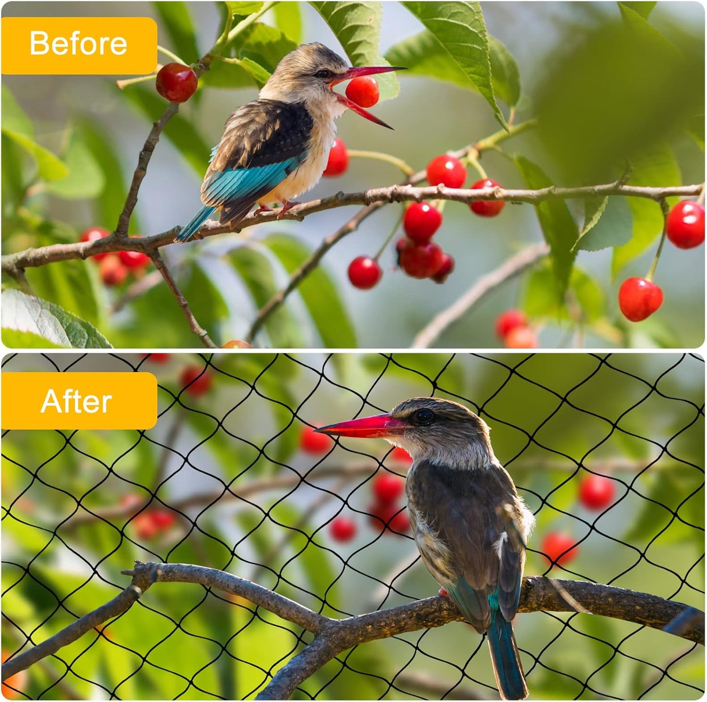 Bird Netting 50'x50' with 1" Square Mesh Bird Net Garden Nettings for Chicken Coop Roof, Poultry Netting Heavy Duty Nylon Net Aviary Nettings Deer Fence Hawk nets for Chicken Run