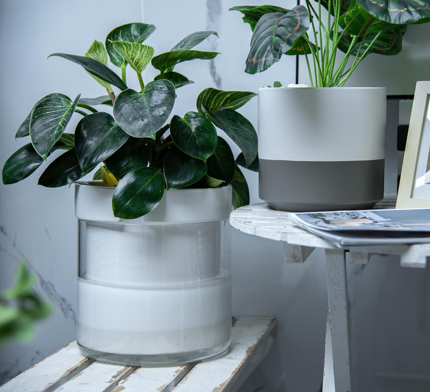 Phoenix Vine 10 Inch Self Watering Planter, White Terracotta Clay Pot with Glass Reservoir for Indoor Plants, Herbs, Flowers, Set of 1, 52-B-I-1