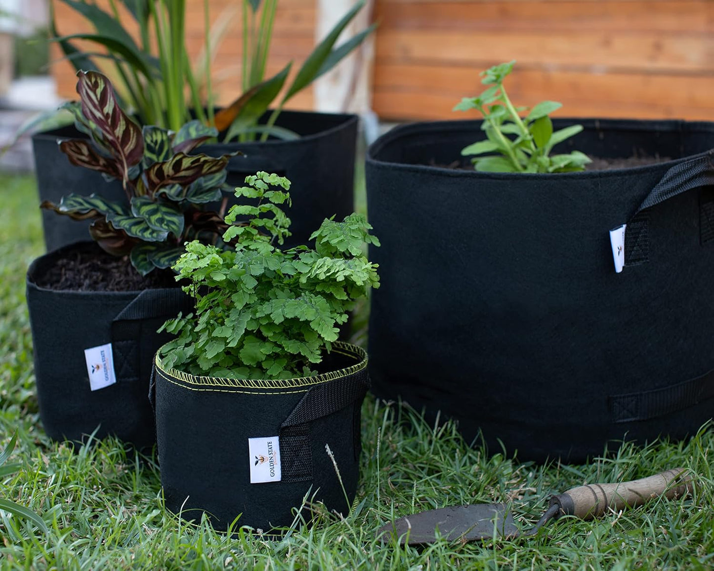 Grow Bags: 5-Pack (Size: 3 Gallon): 300gsm Black Felt Fabric w/Yellow Stitch, Biodegradable and eco-Friendly Material. (Handles + Dumping Handles-pat.Pend).