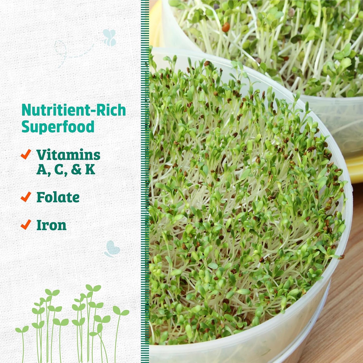 Back to the Roots 100% Organic Alfalfa Seeds | 1 Pound Non-GMO | Nutrient Dense, Easy to Grow, Rich in Fiber