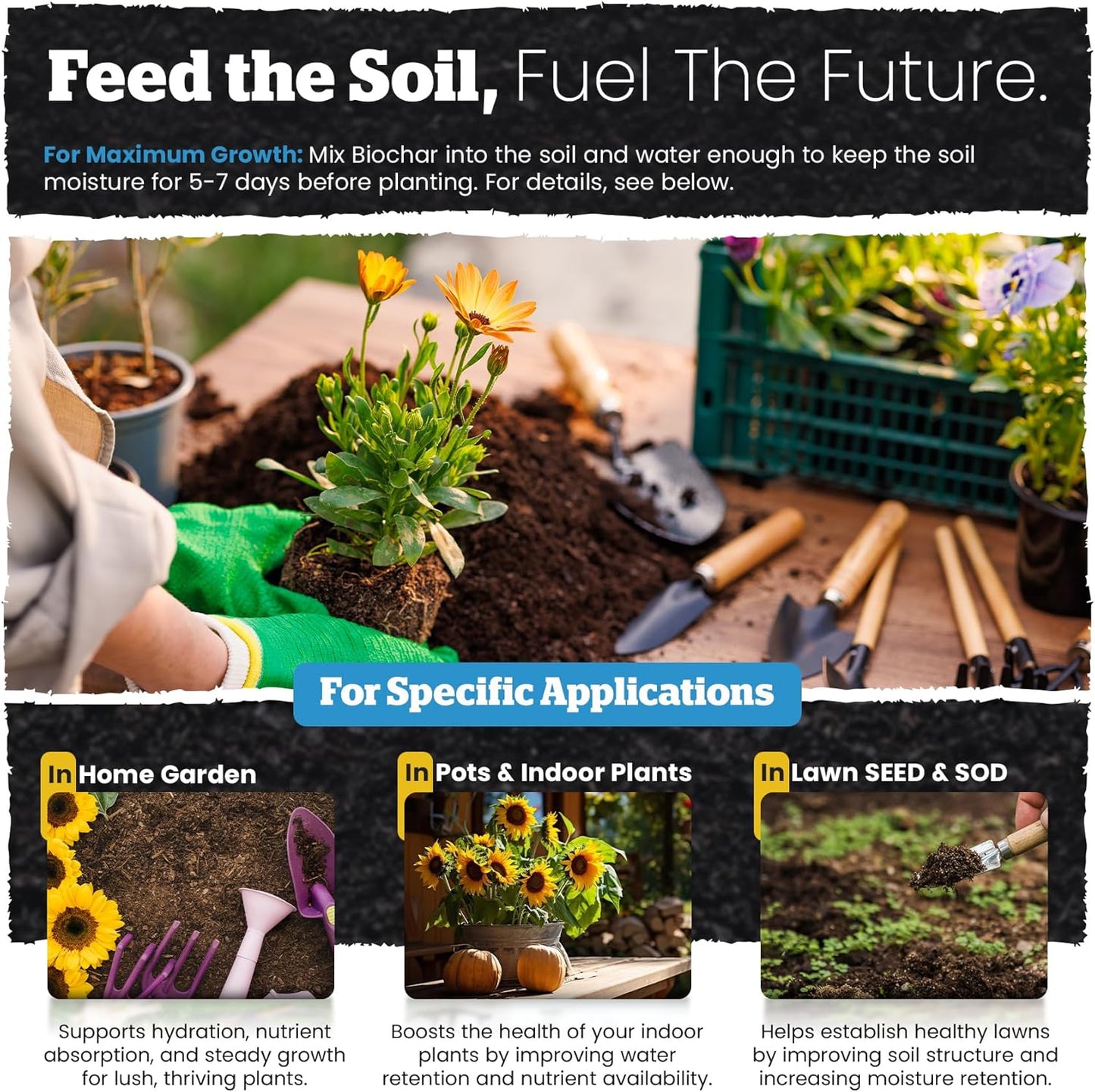 Wakefield Premium Indoor Potting Soil - Professional Biochar & Probiotics with CarbonBoost Technology - Ultimate Organic Potting Mix for Indoor & Outdoor Plants, Succulents & House Plants - 4Quarts