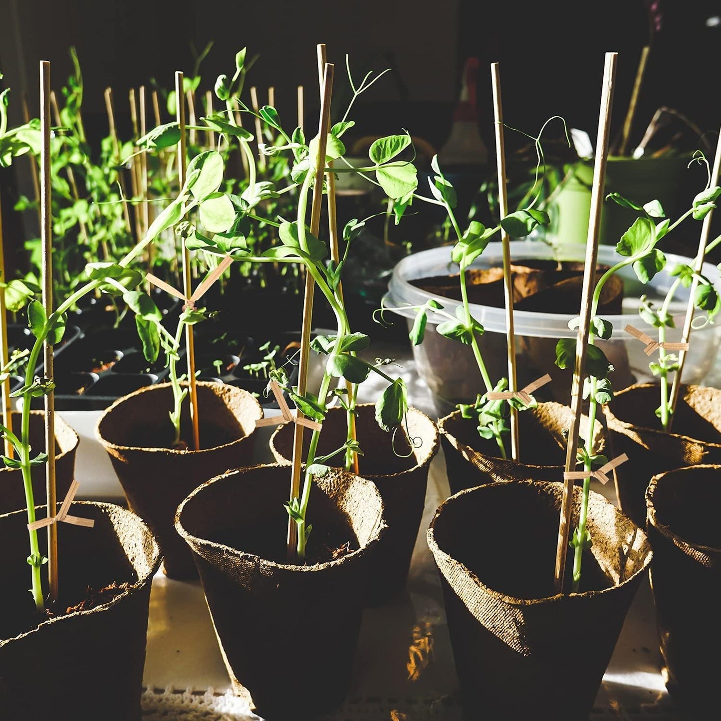 1000 Pcs Twist Ties, Kraft Paper Twist Ties Plant Ties Reusable Bread Ties for Party Cello Candy Coffee Treat Bags Cake Pops (6")