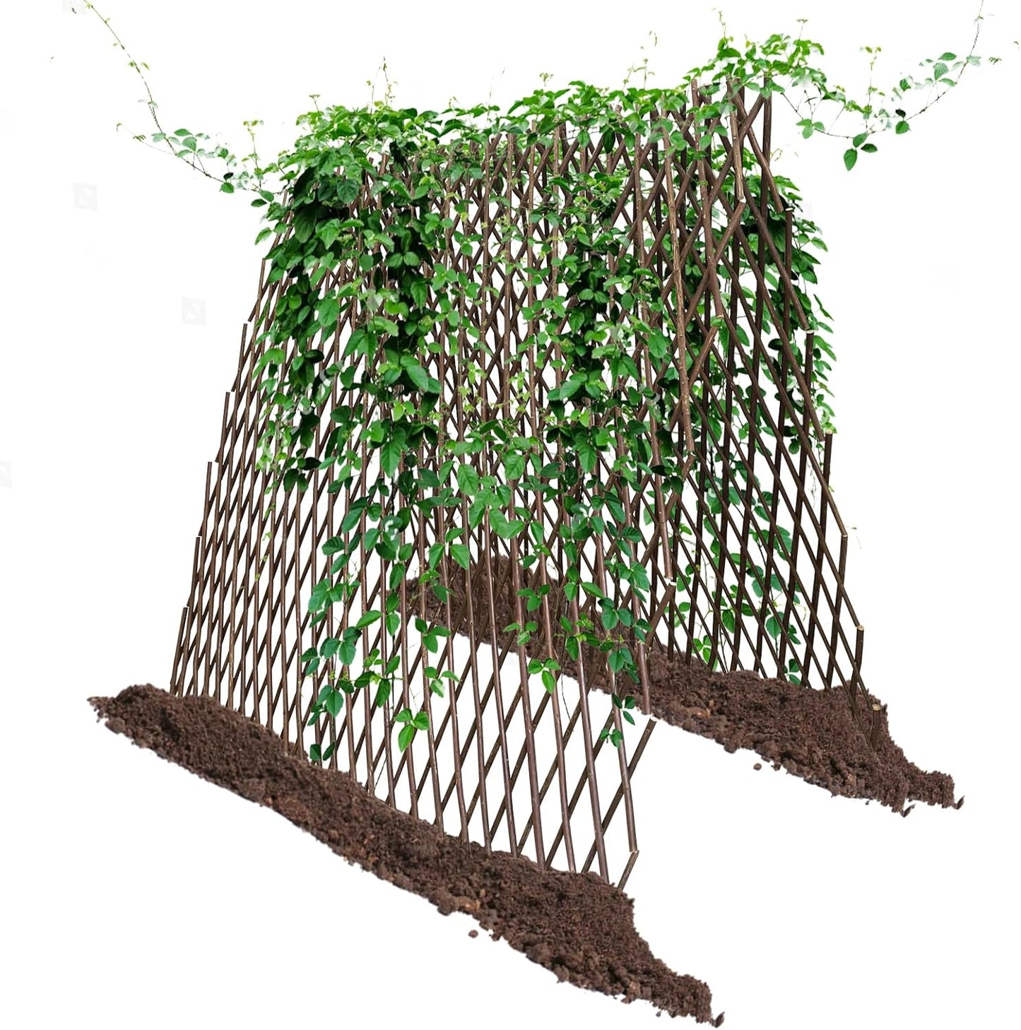 Nature Willow Trellis Expandable Plant Support Plant Climbing Lattices Trellis Willow Expandable Trellis Fence for Climbing Plants Support 36x92 Inch,Double Panel (1)