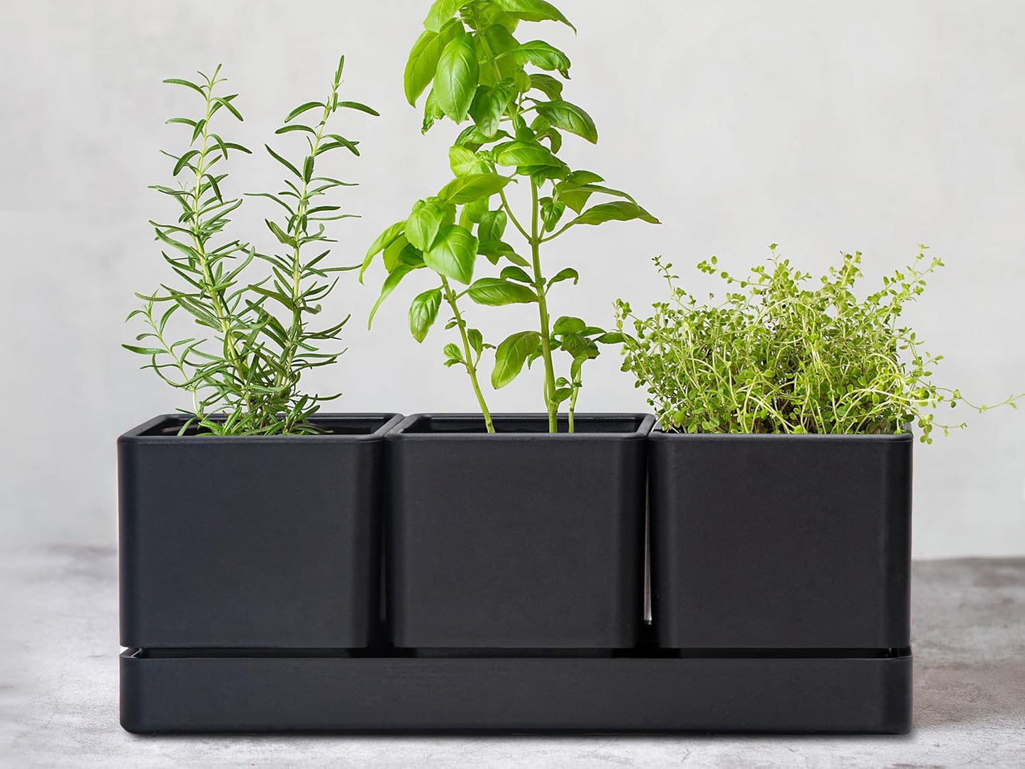 D'vine Dev Herb Garden Planter Set, Plastic Plant Pots with Drainage and Saucer, Indoor Succulent Cactus Vegetable Pot for Windowsill, Garden Balcony, Black, Set of 1, 76-V-B-1