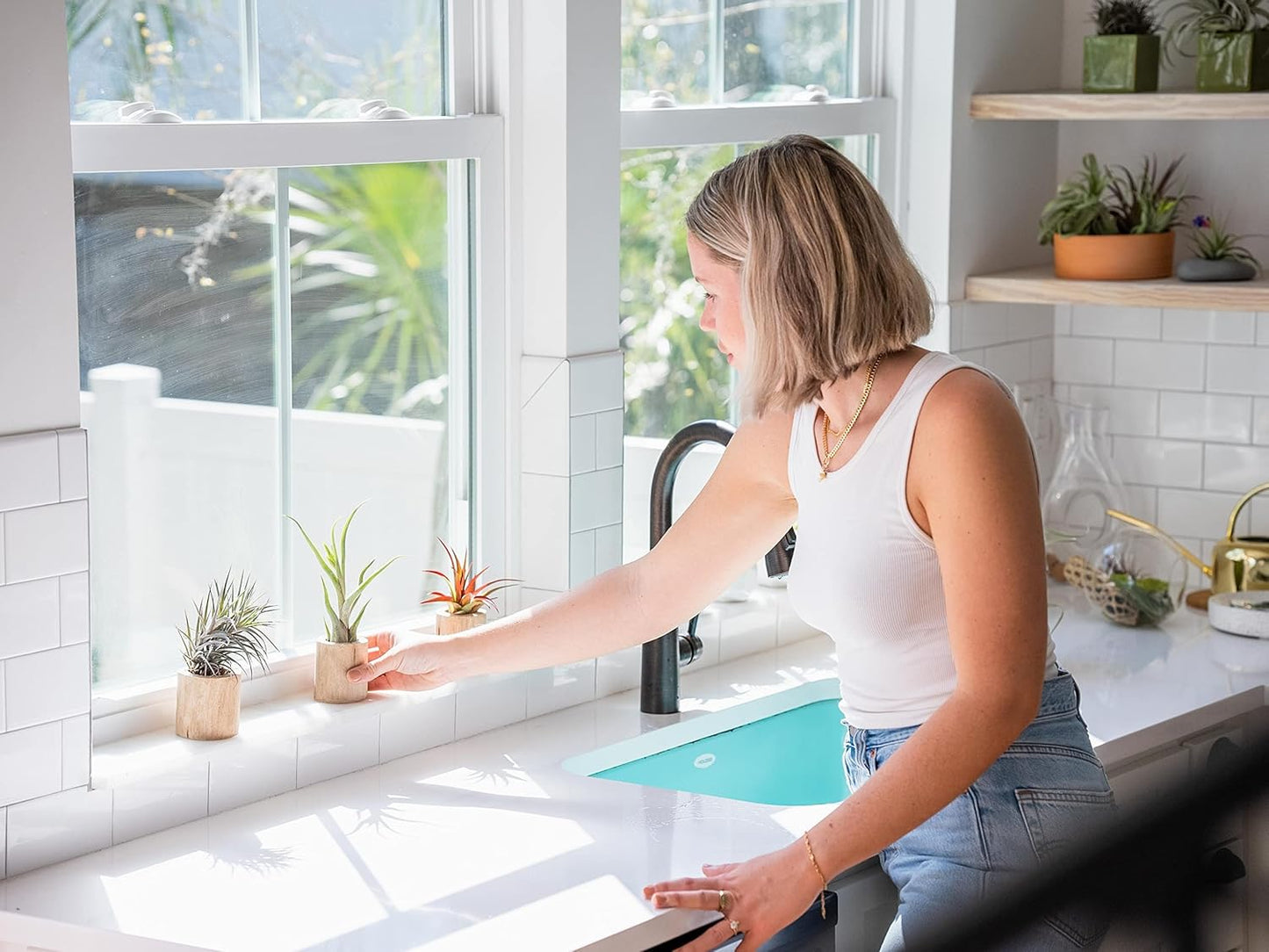 5 Pack of Large Tillandsia Air Plants - Xerographica, Juncea, Bulbosa, Caput Medusae & Harrisii- Live Succulent House Plants Availabe in Wholesale and Bulk - Easy Care Indoor and Outdoor Plant