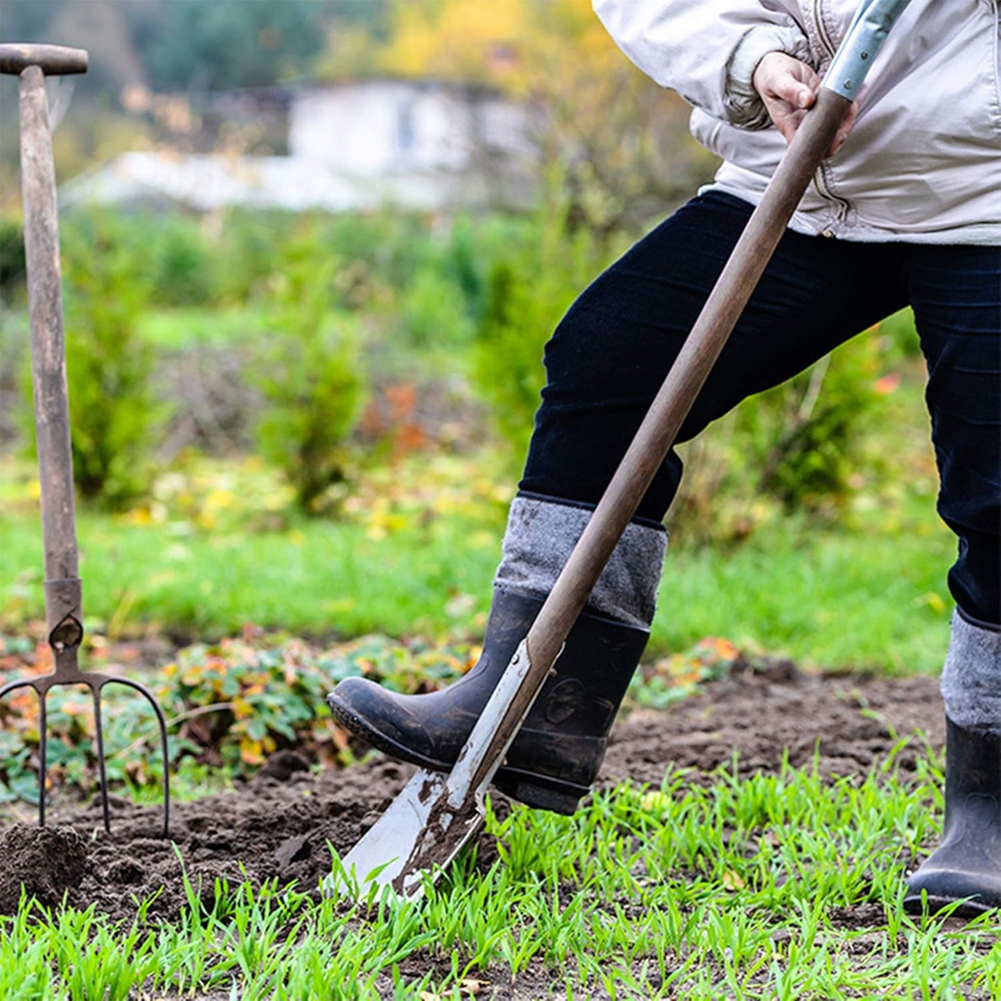 Crimson Clover Seeds (Coated) - 4 oz - Garden Cover Crop, Non-GMO, Open Pollinated, Perennial, Heirloom - Coated for Easy Planting
