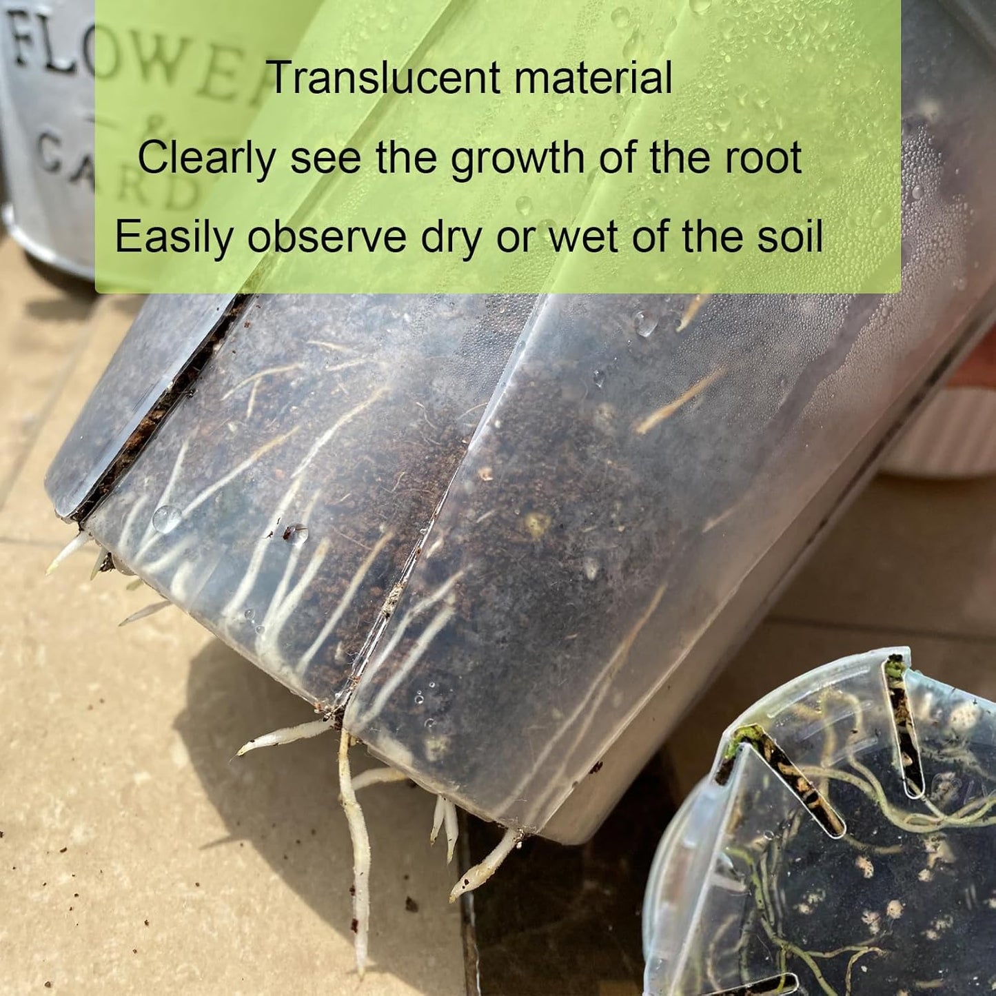 Large Clear pots for Plants, 8 pcs 5/6/7/8 inch Thick Plastic Nursery pots for Plants with Drainage Holes for Monstera Plant Live,Succulents etc - Indoor and Outdoor use