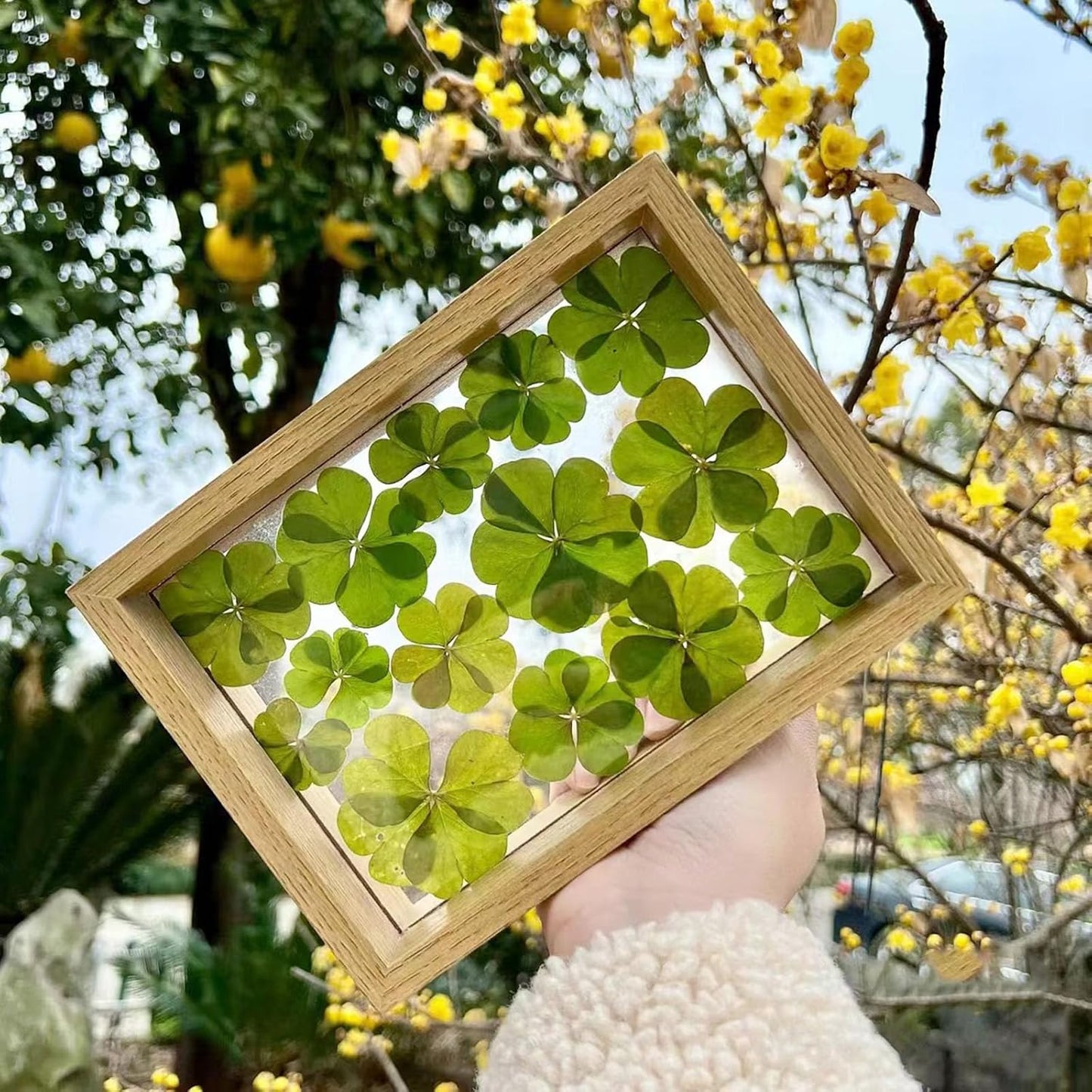 48 Pcs Mix Lucky Clover Natural Dried Pressed Flowers for Resin, Jewelry Making, Real Dry Flower for Cake Decorating , DIY Art Crafts - Four Leaf Clover