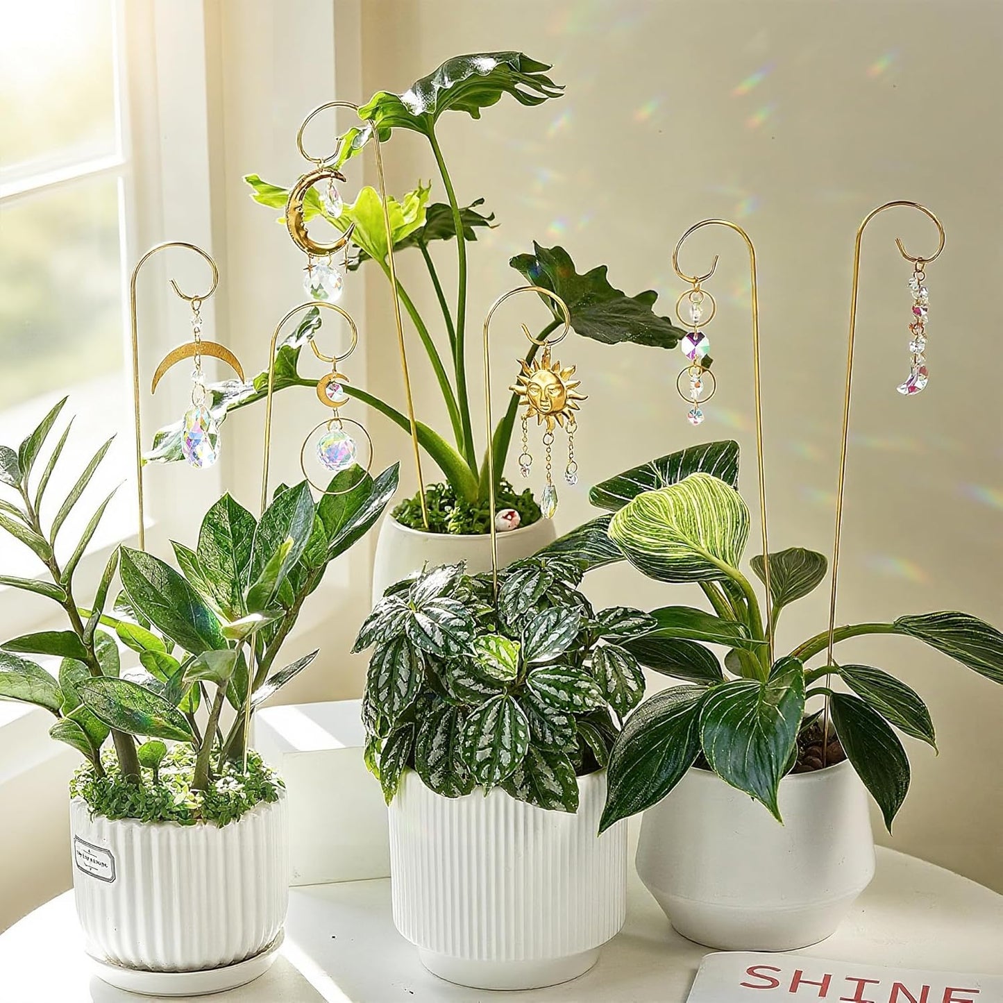 HDCRYSTALGIFTS 6PCS Small Trellis with Crystal Sun Catchers for Potted Plants, 13.5inch Fairy Garden Plant Stakes Suncatchers for Mini Potted Indoor Outdoor Decorations (Sun & Moon Styles)