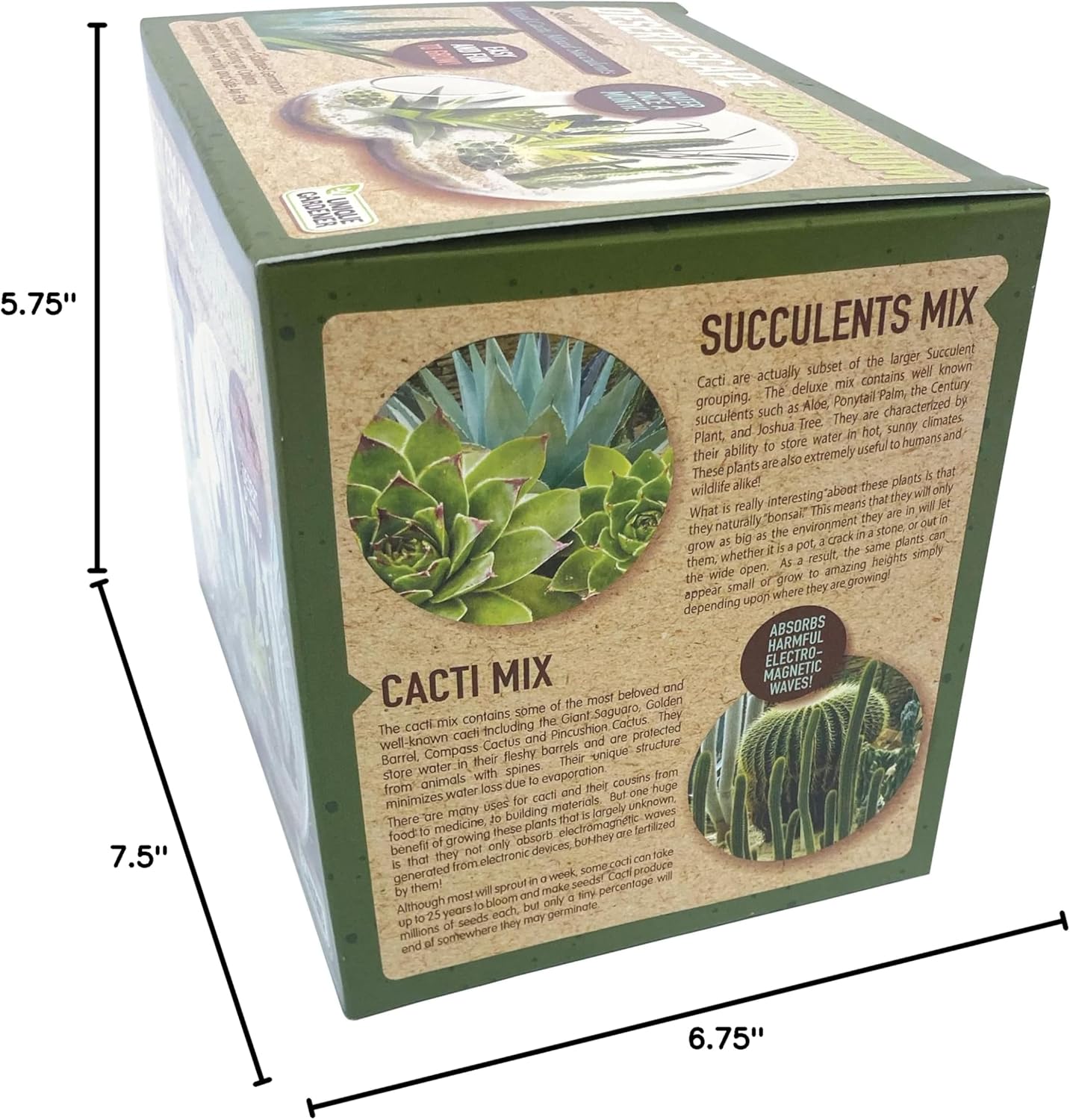 Grow Your Own Desert Escape in A Quality Glass Terrarium Starter Kit with Complete Supplies - Easy to Maintain Indoor Cacti and Succulents - Over A Dozen Desert Plants That Will Last for Years!