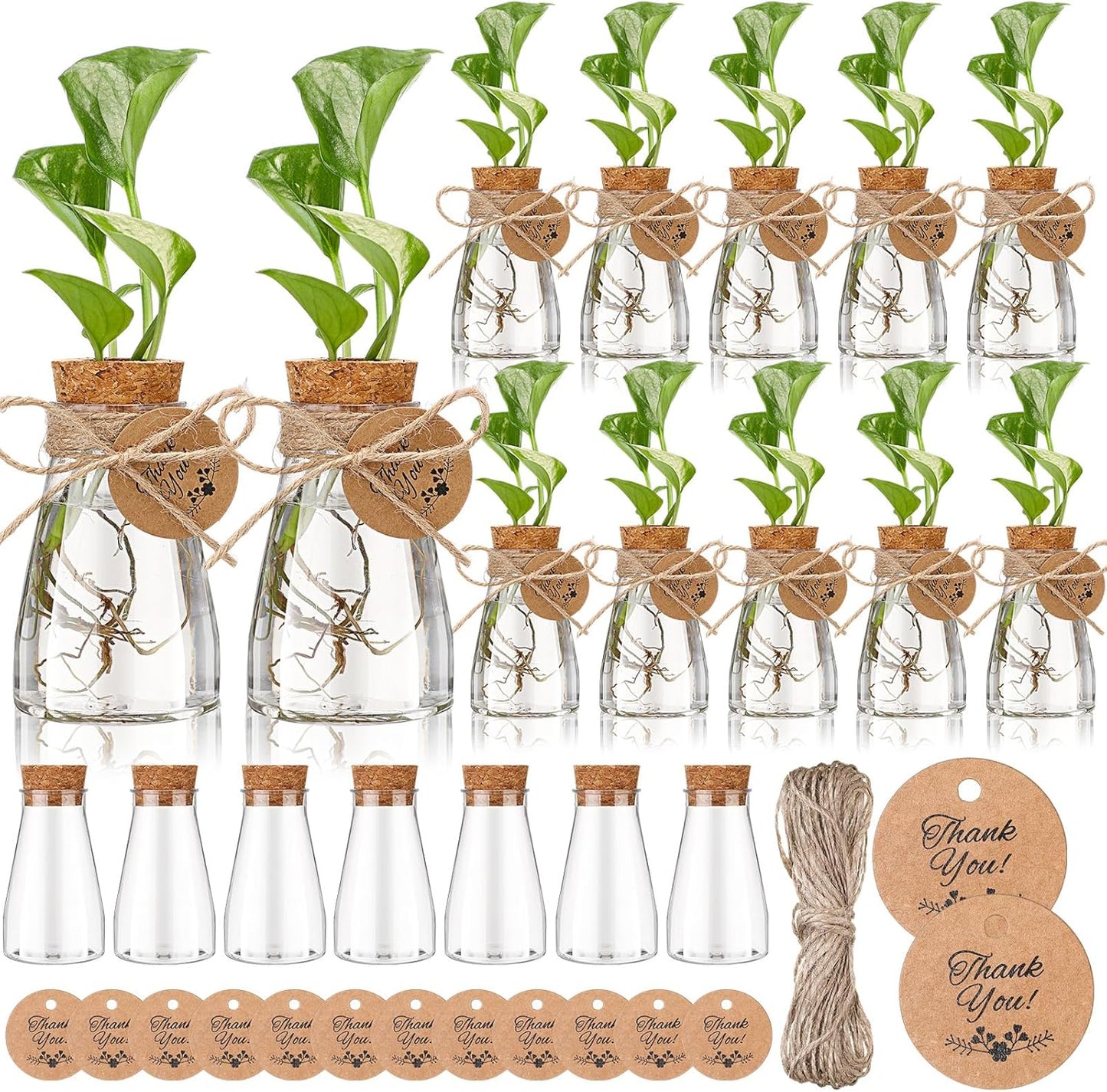 Baderke 24 Pack 3.35'' Plastic Plant Propagation Stations with Hole Lid Planter Vase Clear Propagation Jars with Thank You Tags for Plant Lover Gifts for Women Office Home Garden (Cute)