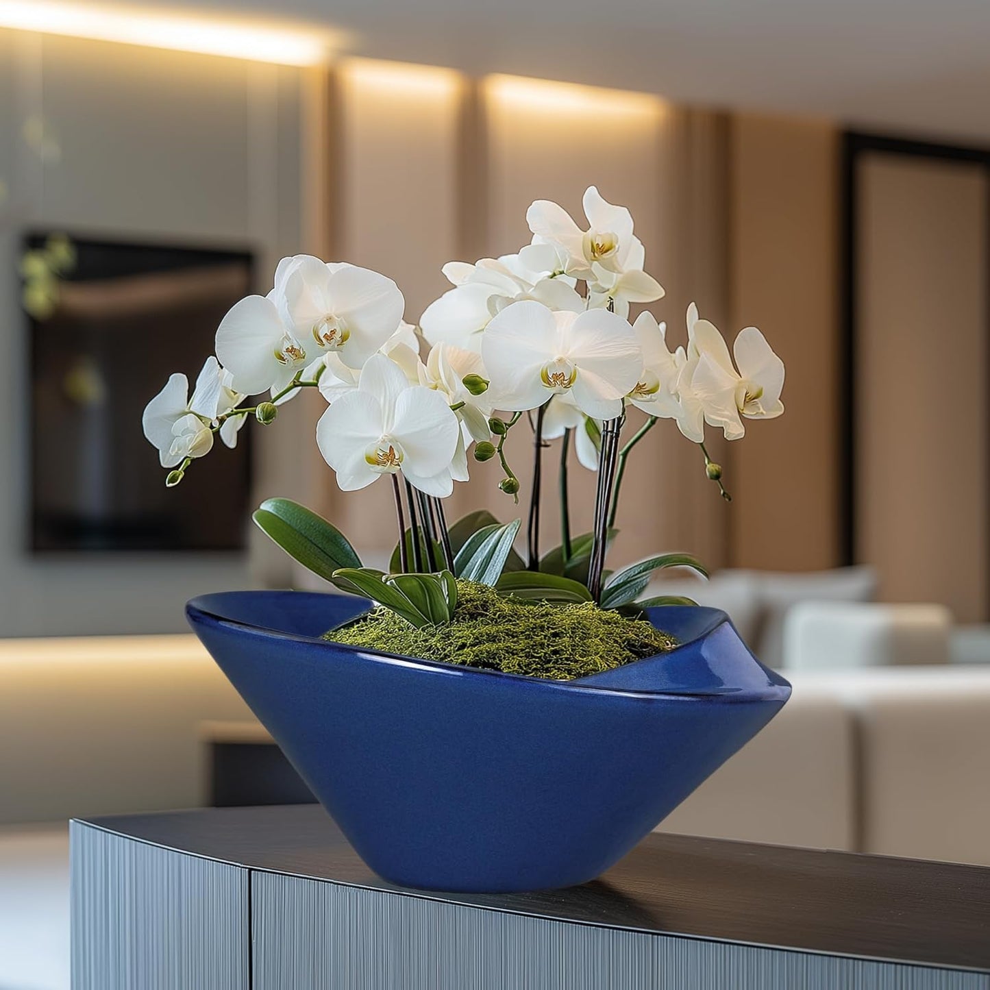 Bonsai Tree Pot 13 Inch - Ceramic Succulent Pots Large Bonsai Planter for Indoor Outdoor Plants Decorative Plant Pot with Drainage Hole Flower Pot for House Garden Room Home Decor Blue