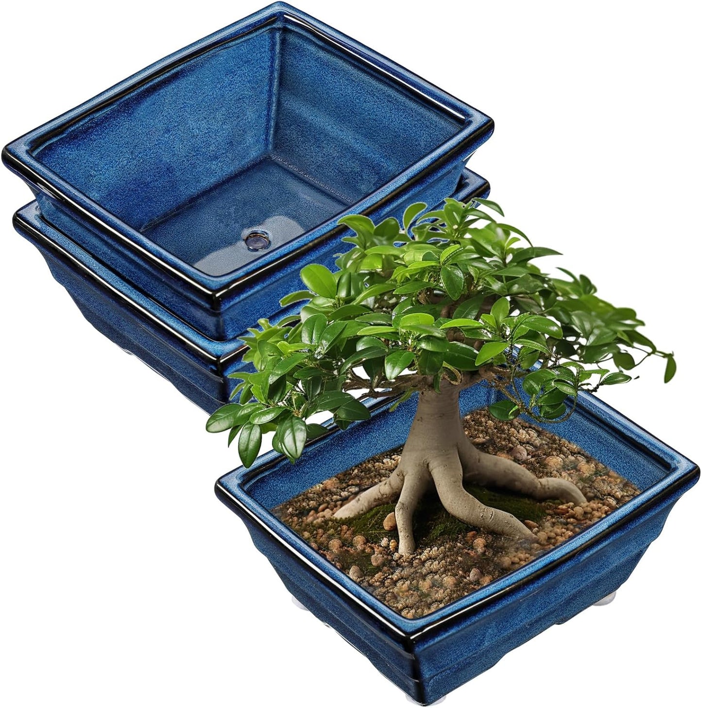 Set of 2 Large Blue Glazed Ceramic Bonsai Pots, 10" Rectangular Bonsai Planters Pots with Drainage Hole for Indoor/Outdoor Plants, Bonzie Tree Pot for Succulents, Cacti, Orchids, Herbs, Spider Plants