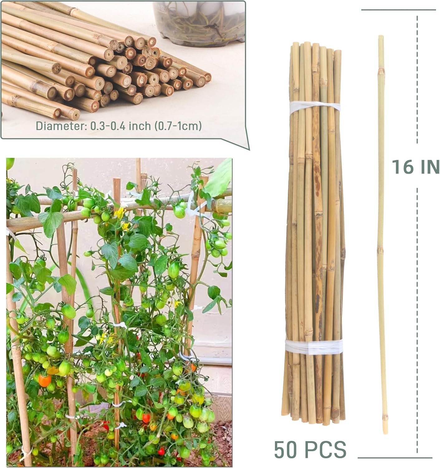 50Pcs / 16 inch Bamboo Plant Stakes for Indoor Outdoor Plants, Garden Plant Support Sticks, Poles for Tomato Vegetables Beans Trees Potted Climbing Plants(0.32'')