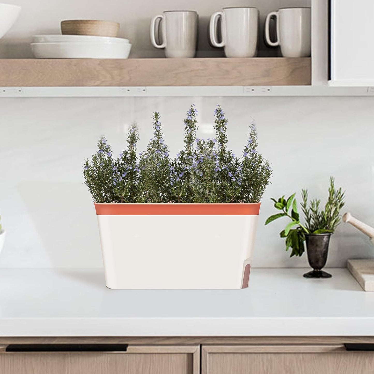 GardenBasix Self Watering Planter Pots Window Box for Indoor Plants Home Garden Modern Decorative Flower Pot for All House Herbs Succulents Set of 6 (6, Clay(Rectangle))