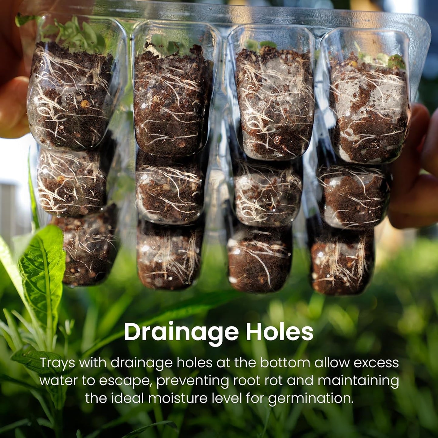 MIXC Seed Starter Kit with Grow Light, Elevated Seedling Tray Kit with Adjustable Humidity Dome and Clear Cell Tray, 12 Full Spectrum Led Beads for Seed Starting Greenhouse, 4 Pack, Black