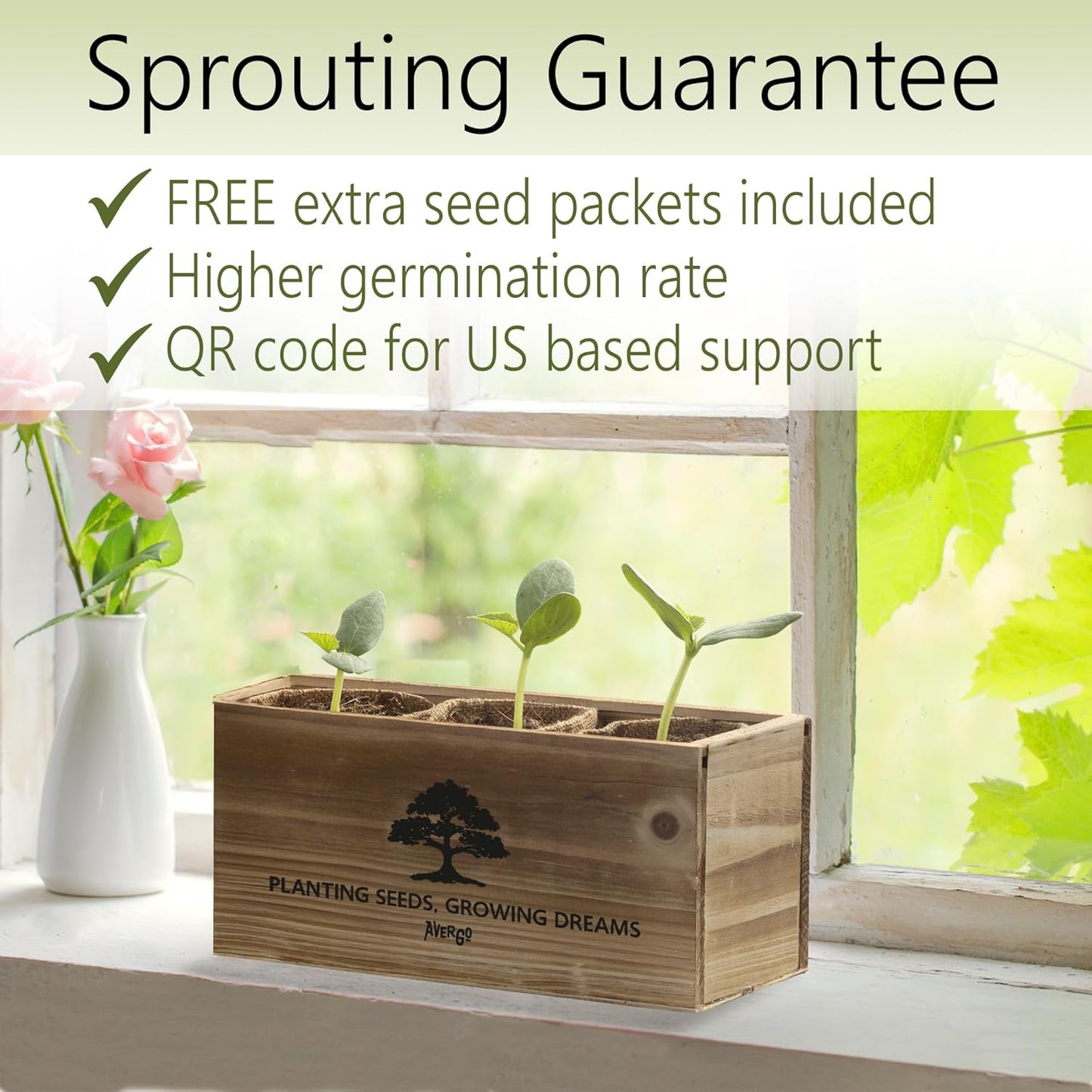 Bonsai Tree Kit – 3X Unique Japanese Bonzai Trees | Complete Indoor Starter Kit for Growing Bonsai Plants with Tools & Planters – Gardening Gifts for Women & Men