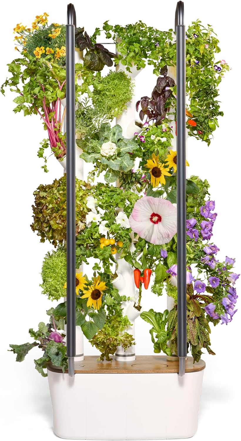 Gardyn 4.0 Vertical Hydroponics Growing System Kit - 30 Non-GMO Plants, Herbs, Vegetables - Smart Tower Garden - Hydroponic Herb Garden Planter Indoor Kit - Indoor Gardening System w/LED Grow Lights